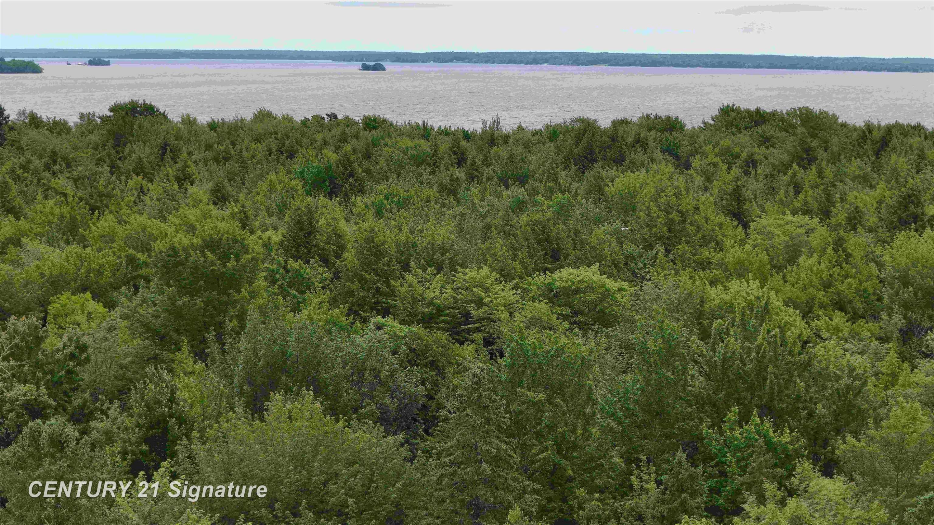 V/L County Road 477 Road, McMillan, MI 49853 — Photo 12