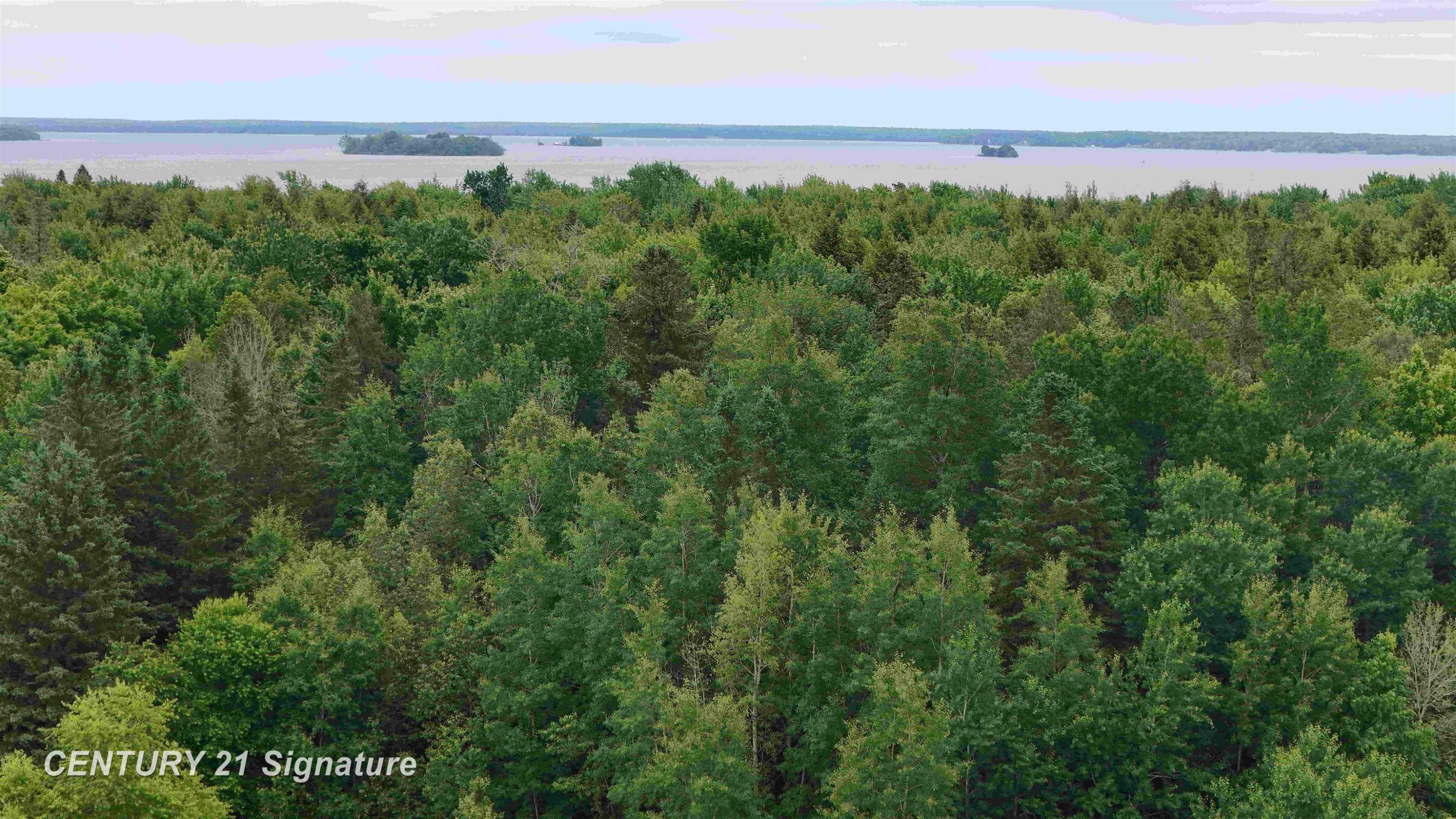 V/L County Road 477 Road, McMillan, MI 49853 — Photo 13