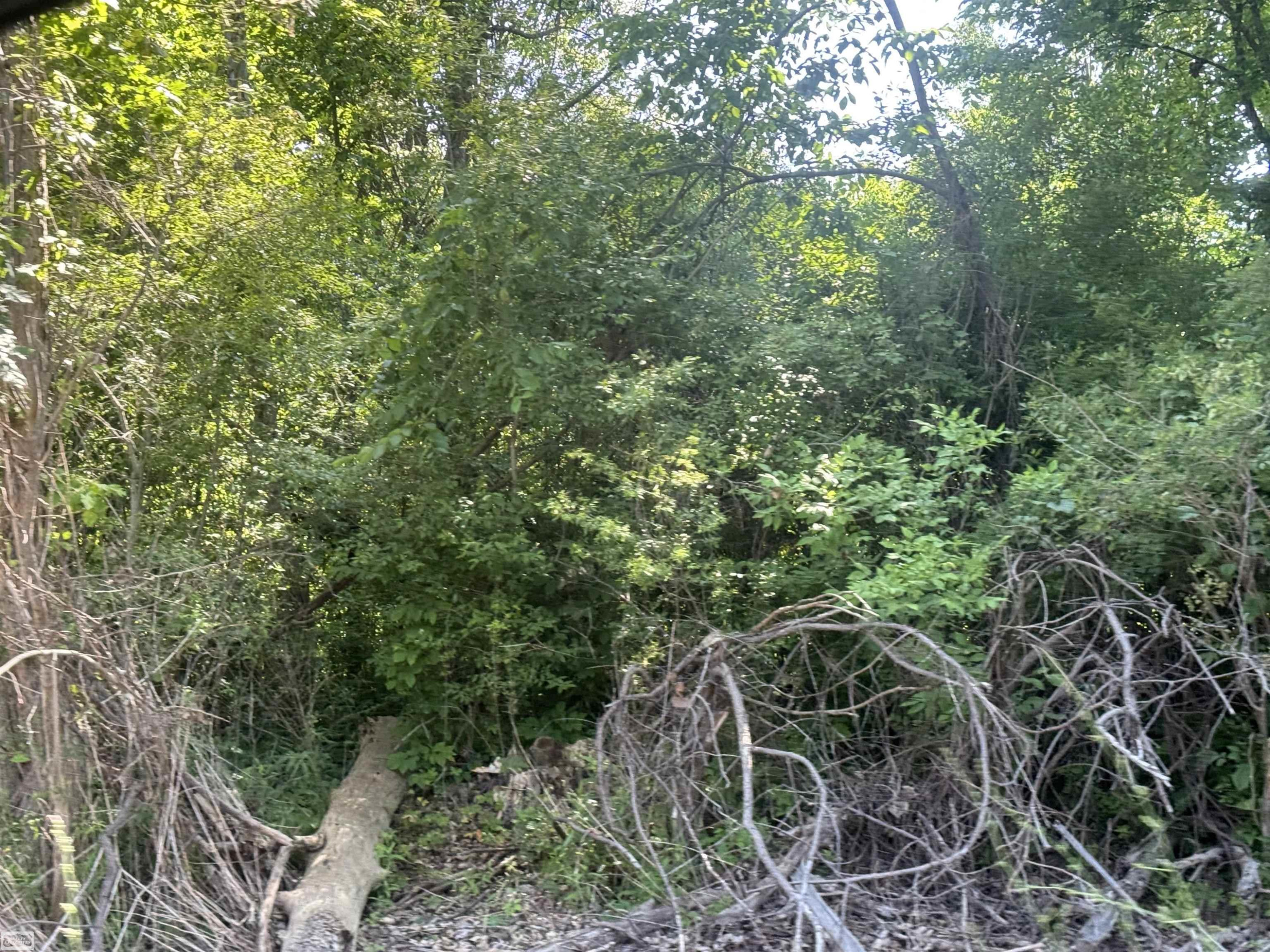0 Bauman Road, Richmond, MI — Photo 2