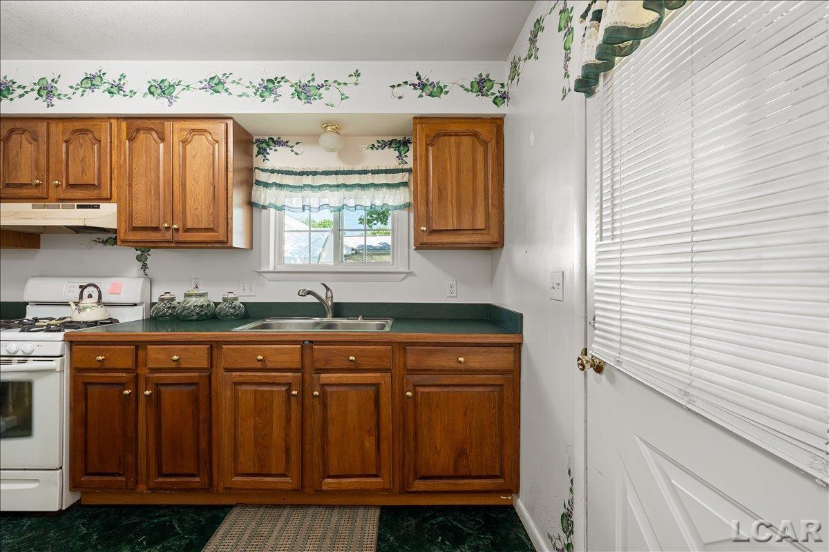 808 S Winter Street, Adrian, MI 49221 — Photo 4