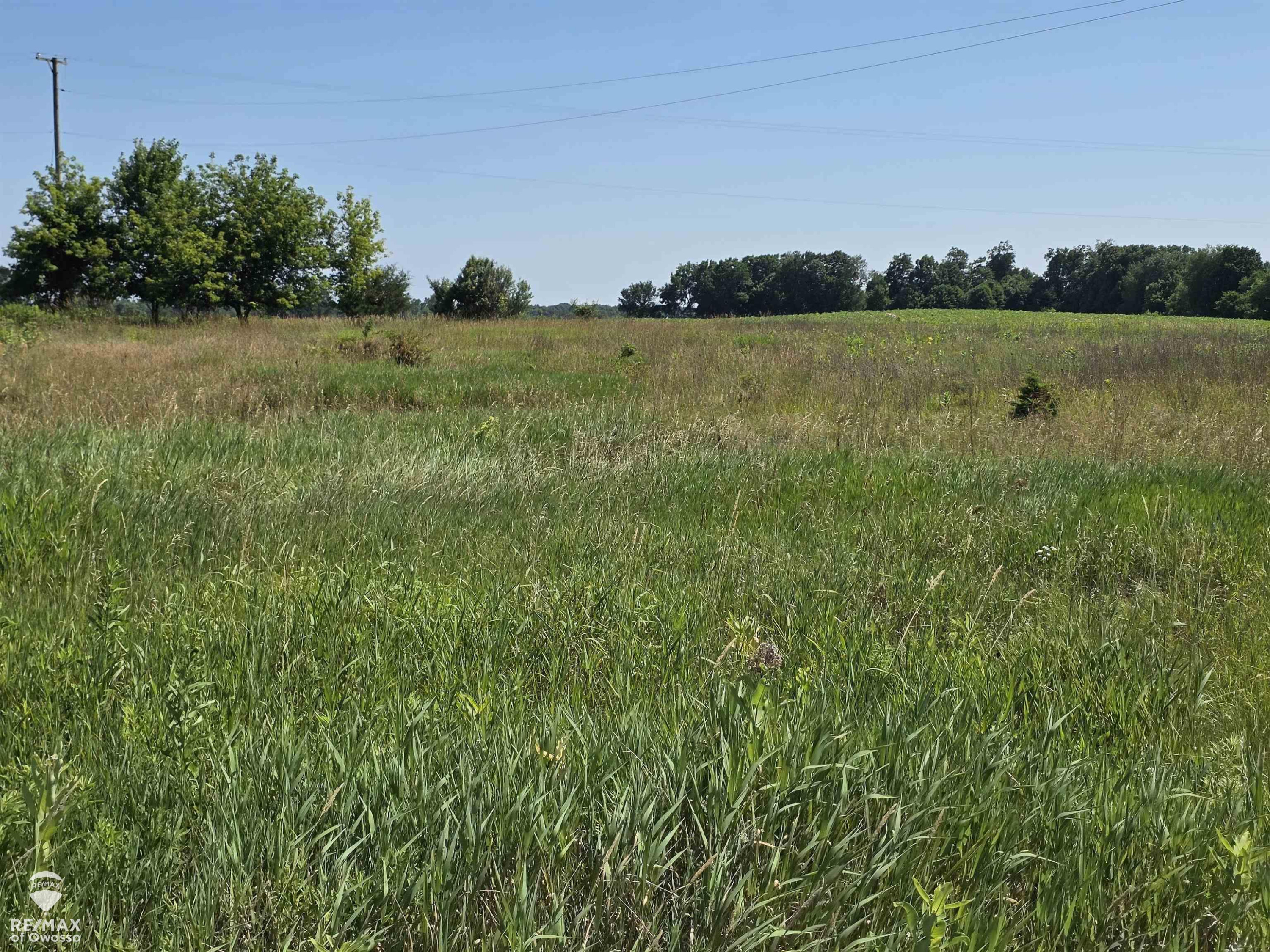 Garrison Road, Laingsburg, MI 48848 — front exterior