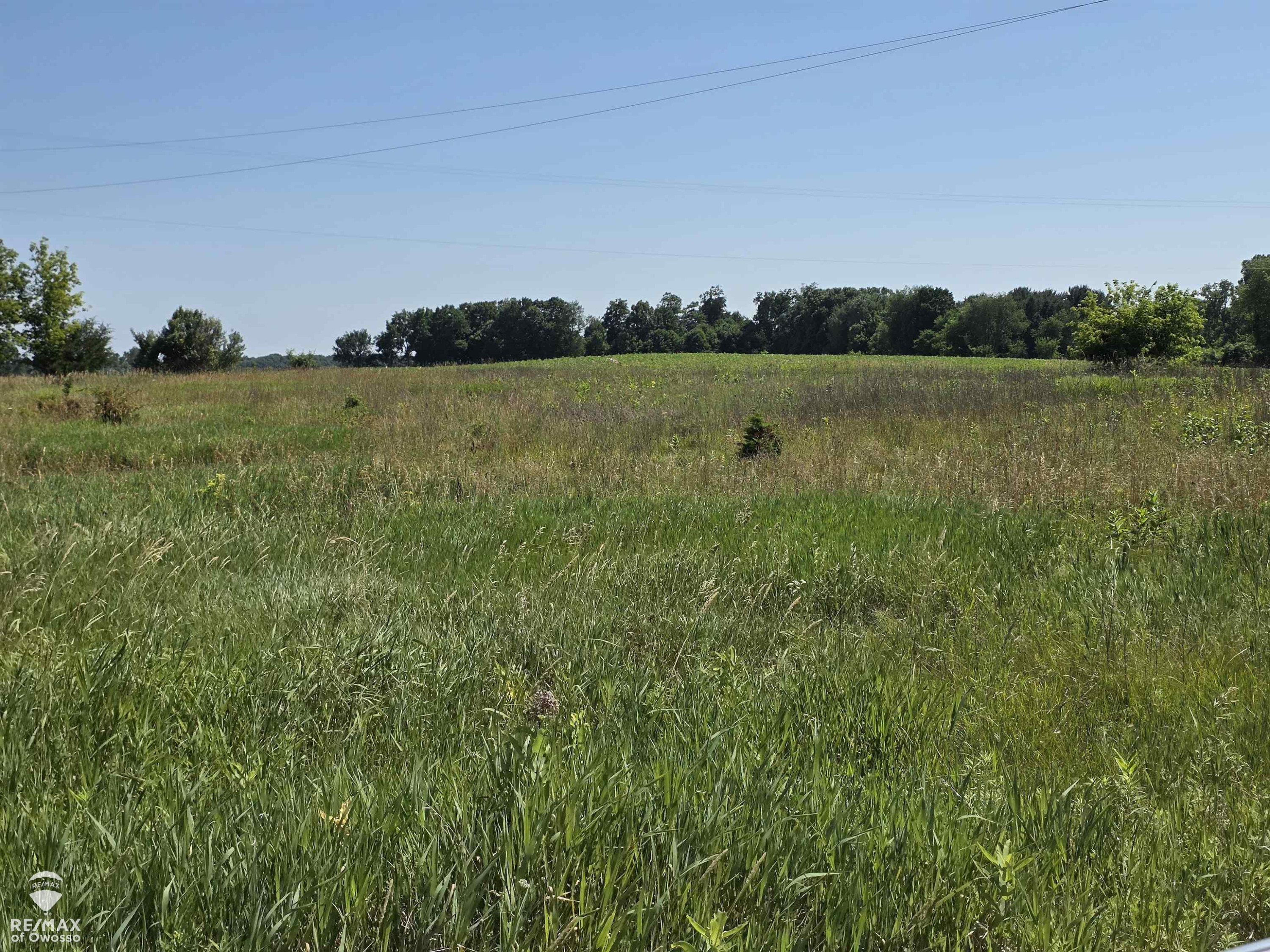 Garrison Road, Laingsburg, MI 48848 — Photo 2