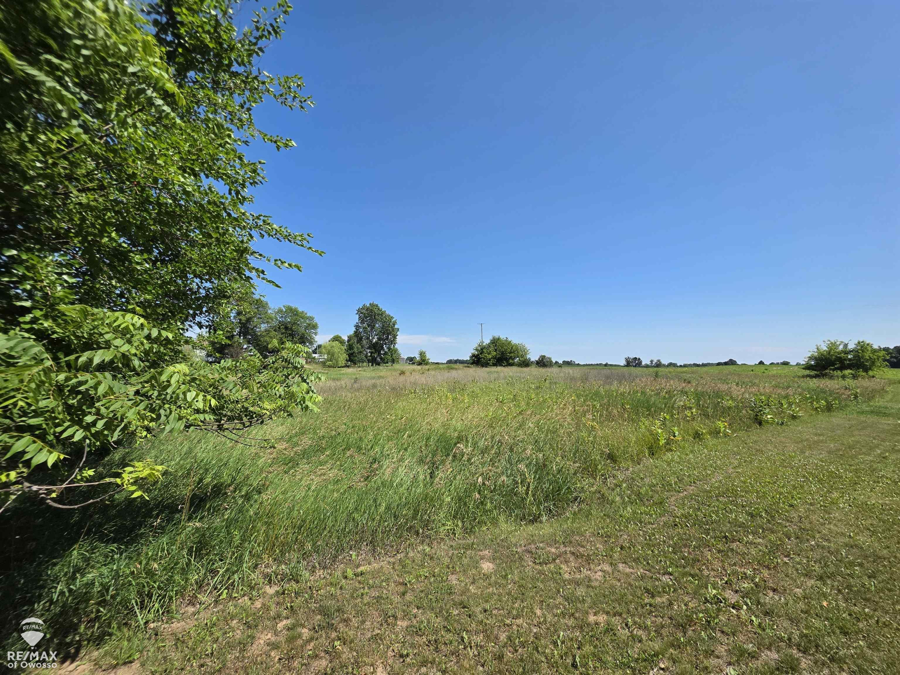 Garrison Road, Laingsburg, MI 48848 — Photo 3