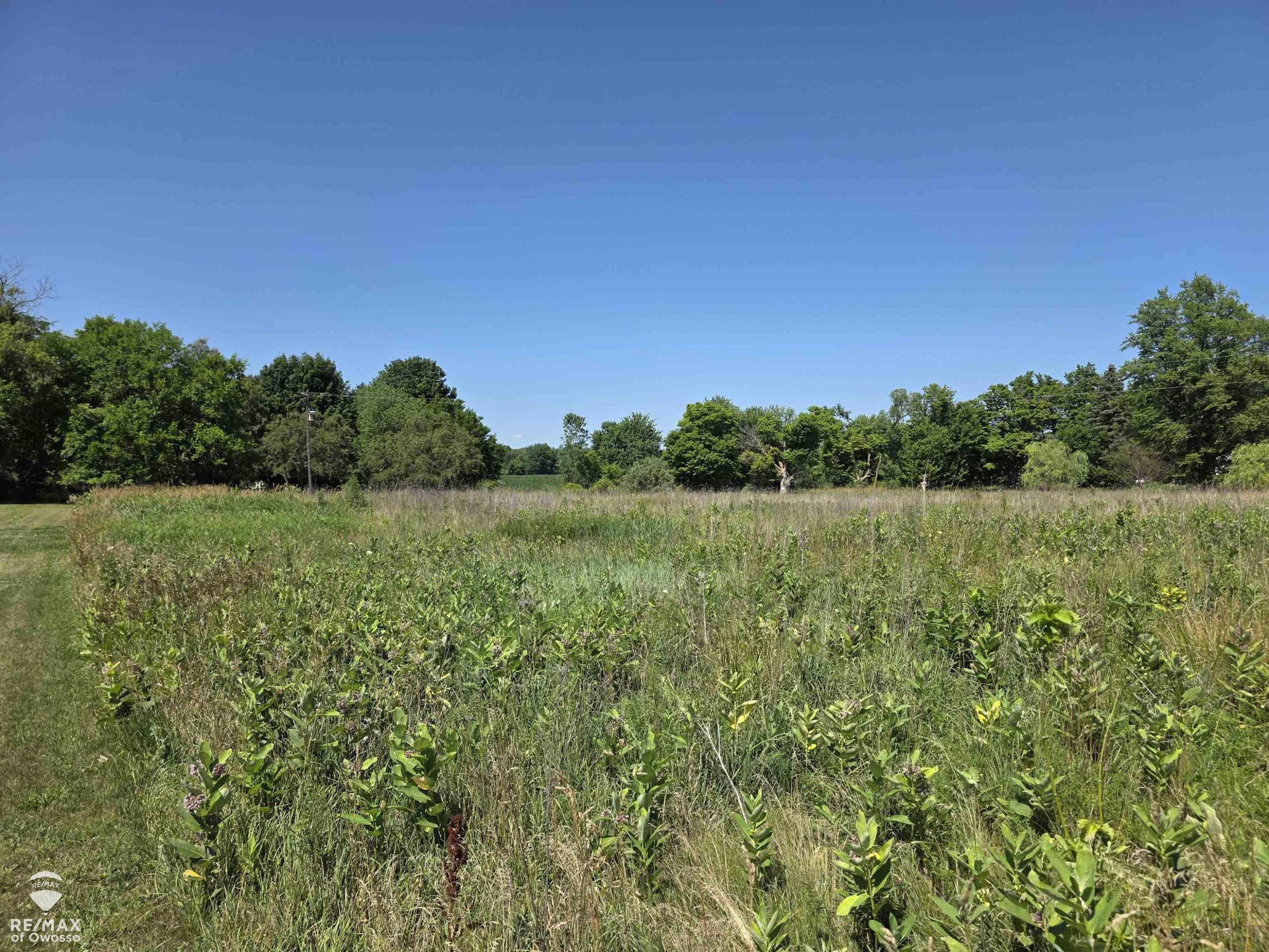Garrison Road, Laingsburg, MI 48848 — Photo 4