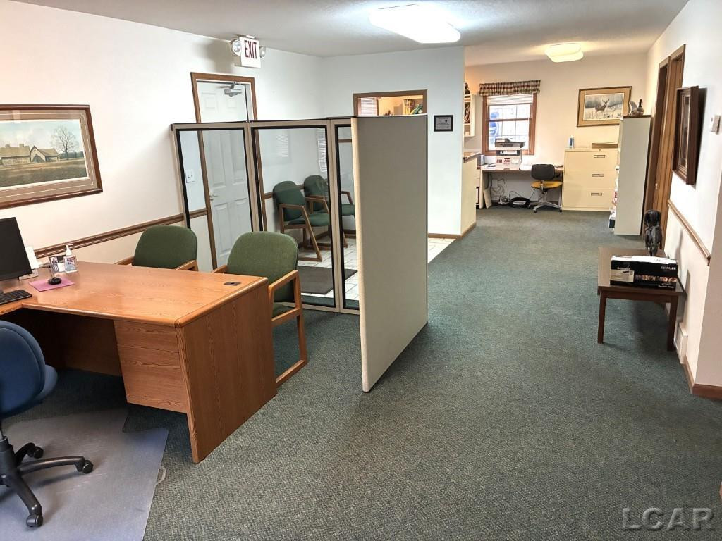 521 W Adrian State Highway, Blissfield, MI 49228 — Photo 6