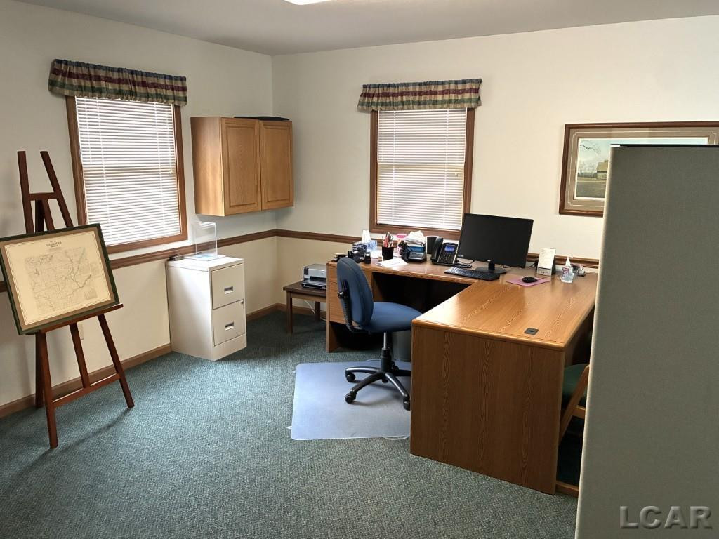 521 W Adrian State Highway, Blissfield, MI 49228 — Photo 9