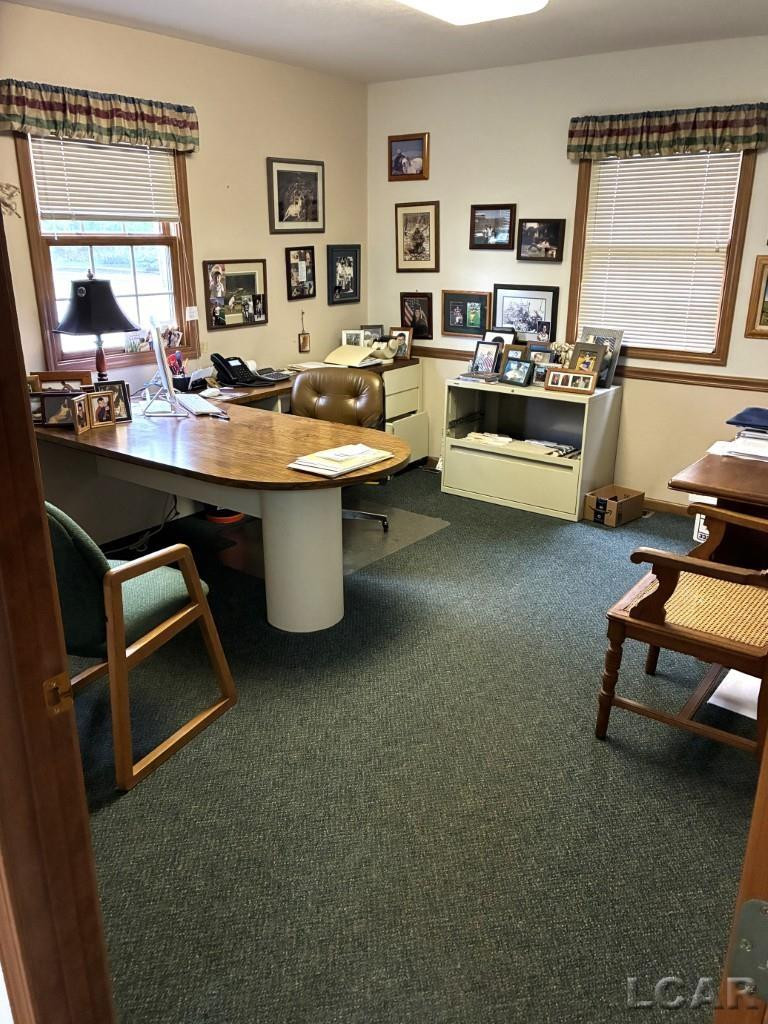 521 W Adrian State Highway, Blissfield, MI 49228 — Photo 10