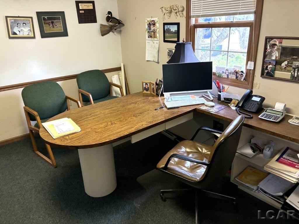521 W Adrian State Highway, Blissfield, MI 49228 — Photo 11