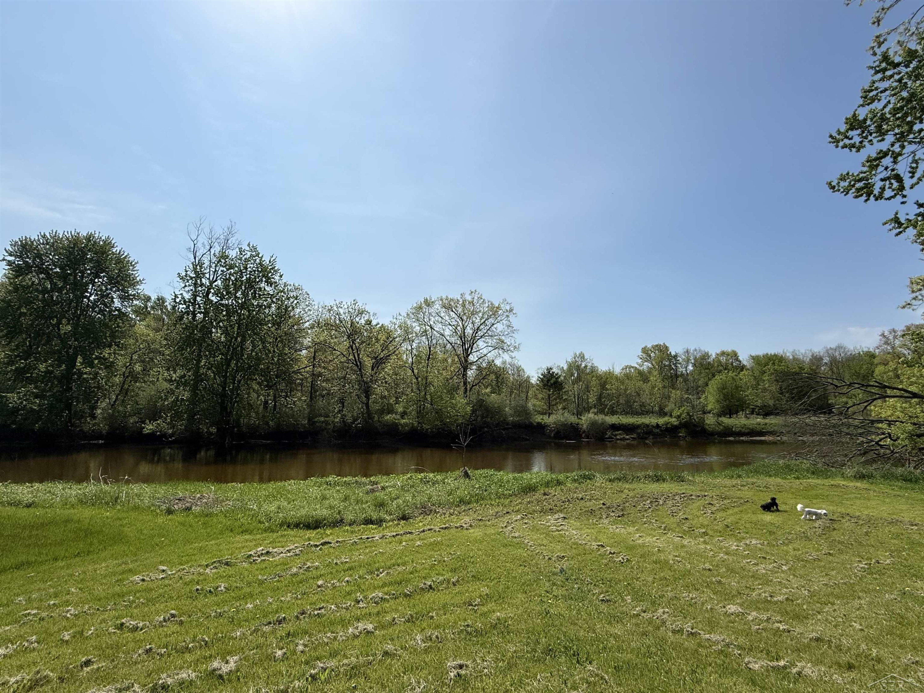 1864 E Chippewa River Road, Midland, MI 48640 — Photo 19