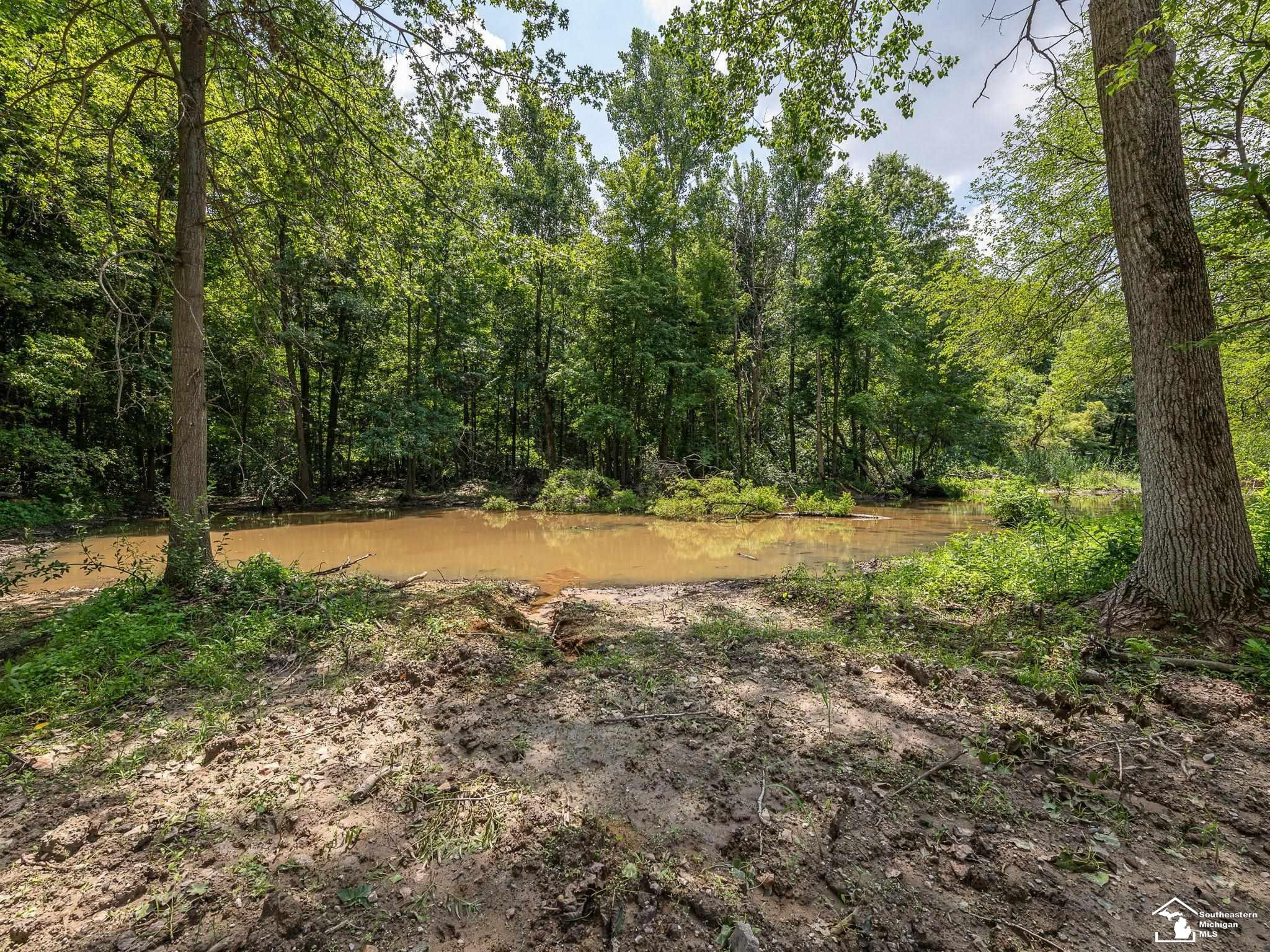 3901 Kane Road, Carleton, MI 48117 — Photo 44