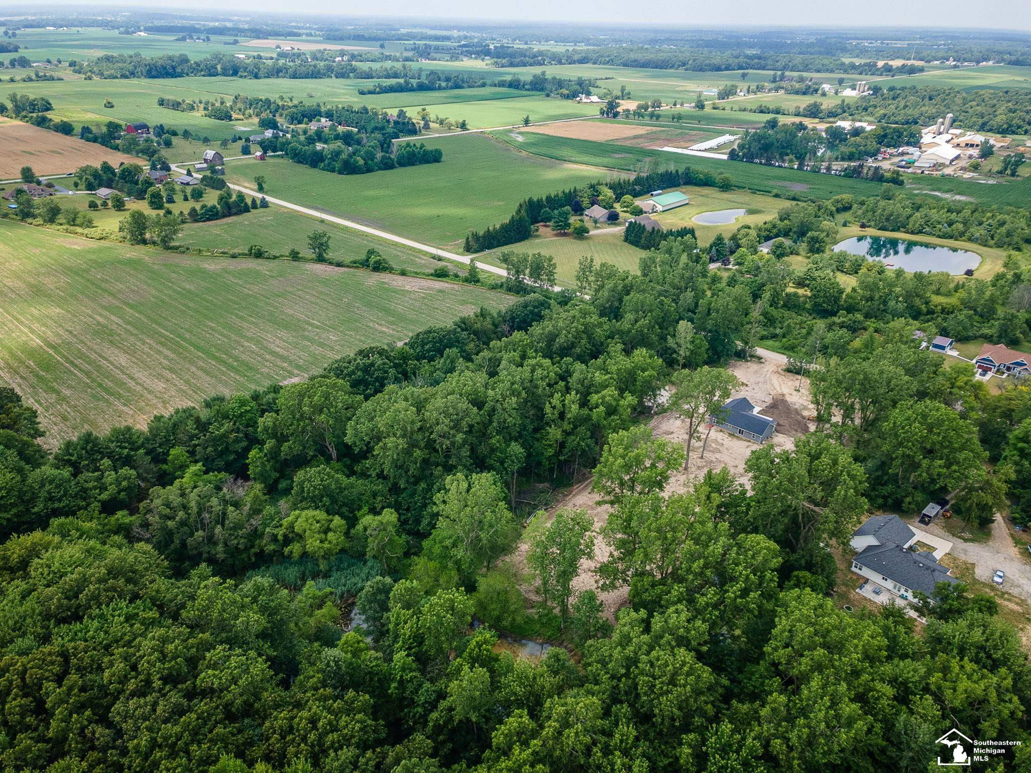 3901 Kane Road, Carleton, MI 48117 — Photo 53