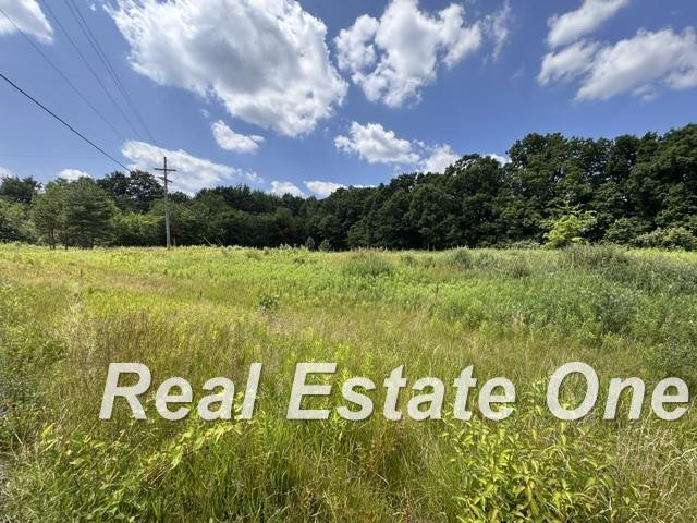 Trade Center Way Drive, Lapeer, MI 48446 — Photo 3
