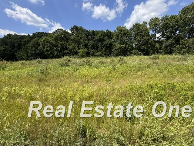 Trade Center Way Drive, Lapeer, MI 48446 — Photo 5