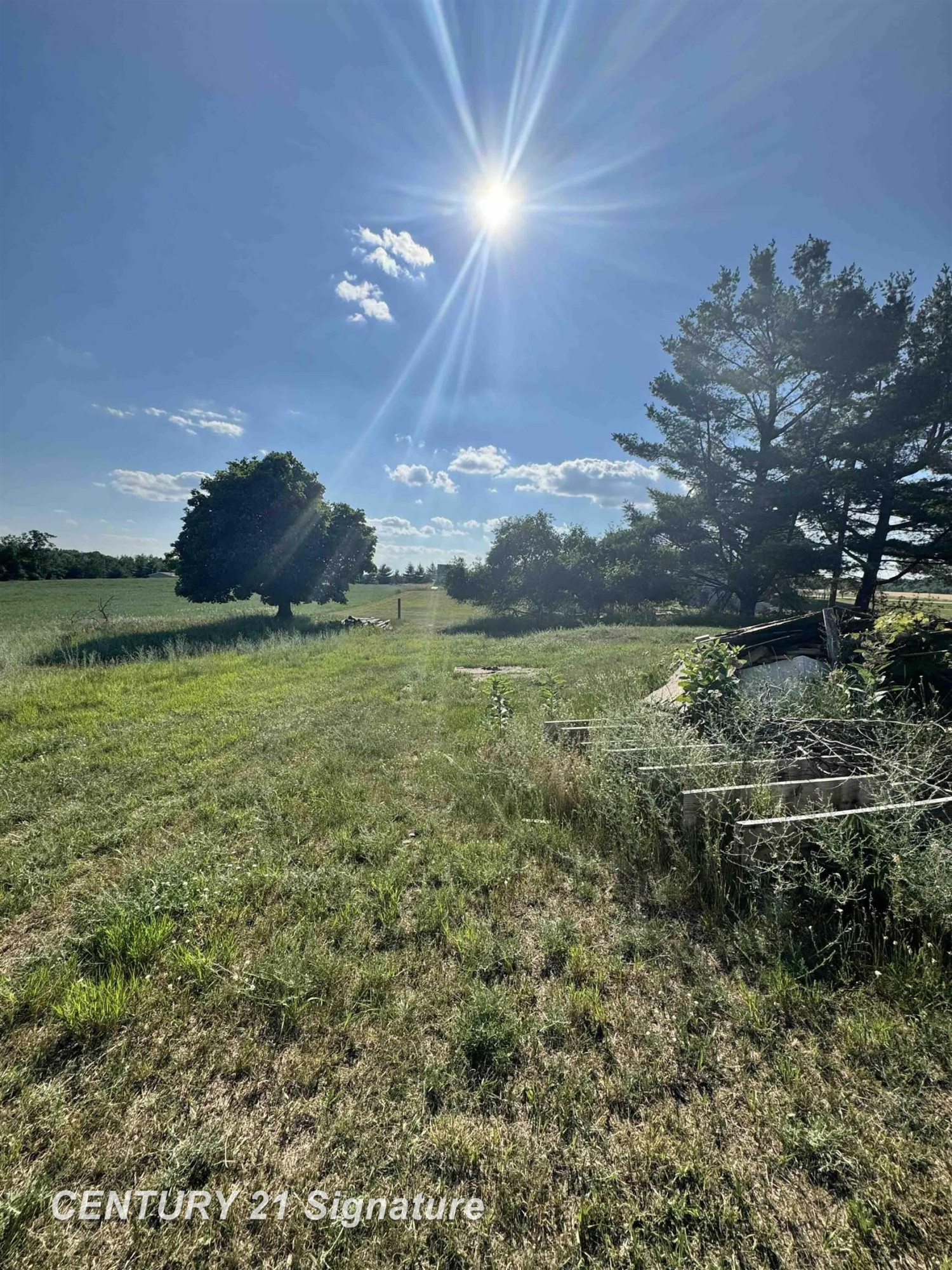 5732 E Grass Lake Road, Clare, MI 48617 — Photo 2