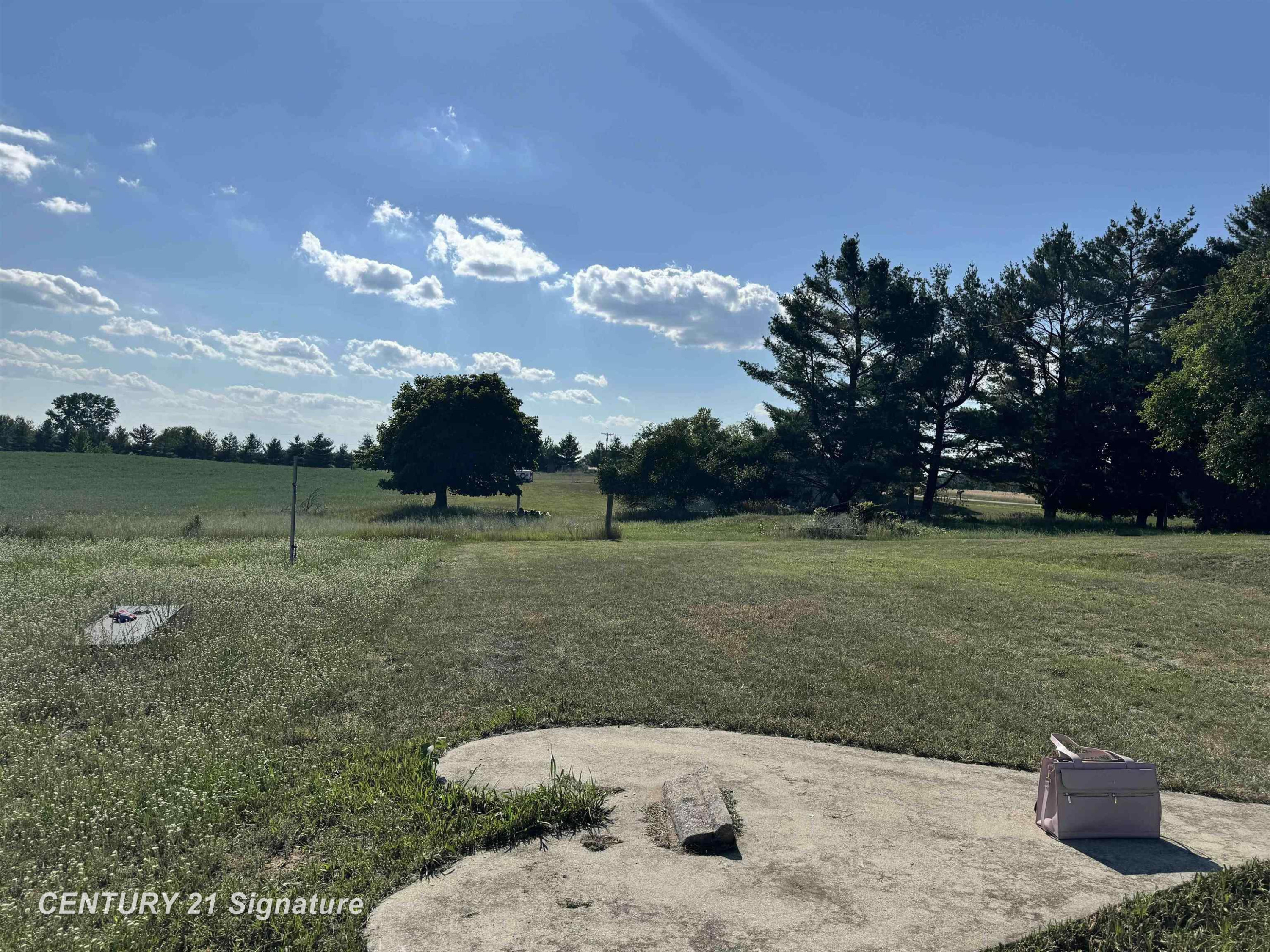 5732 E Grass Lake Road, Clare, MI 48617 — Photo 5