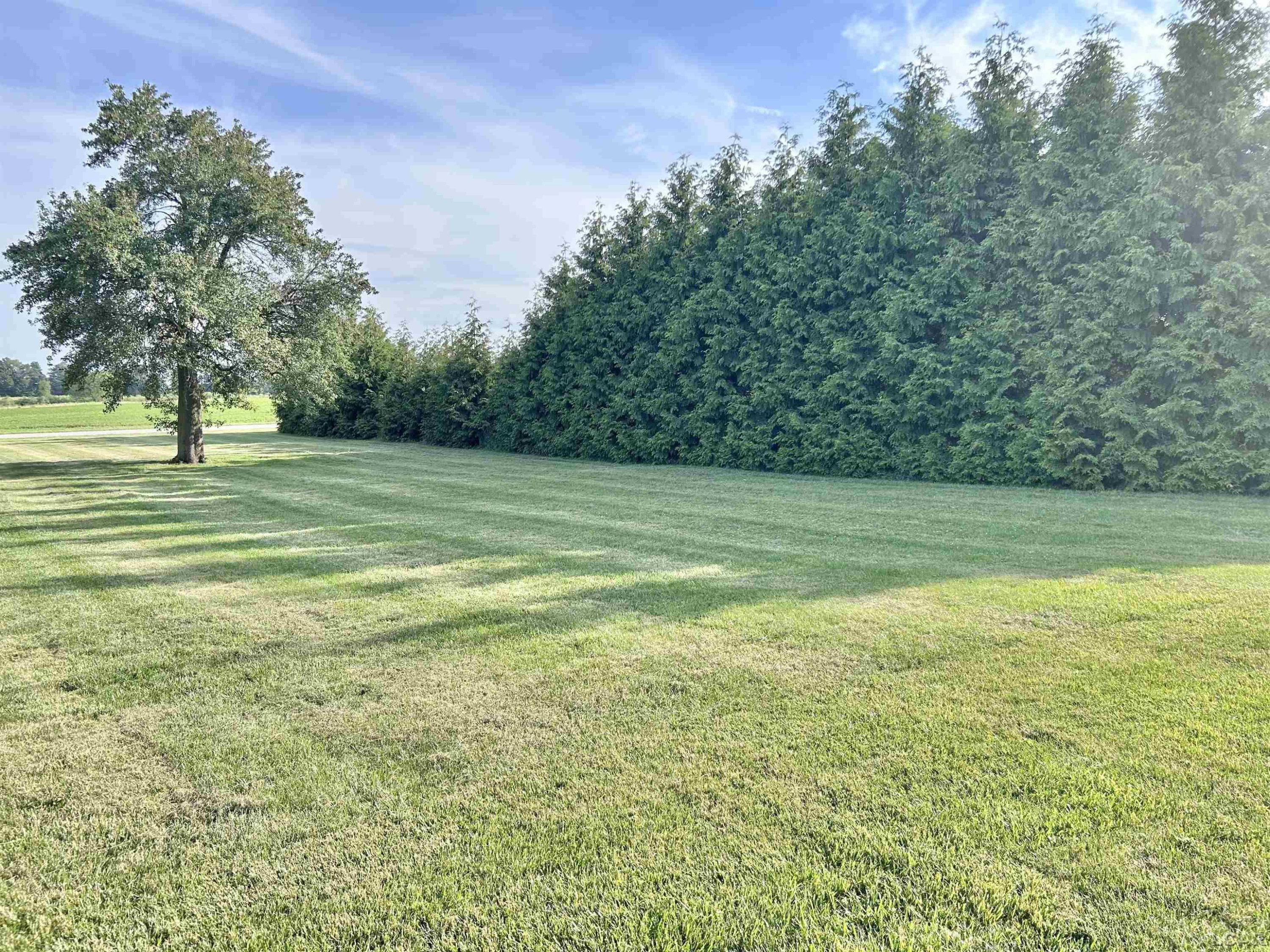 13776 Wabash Road, Morenci, MI 49256 — Photo 5
