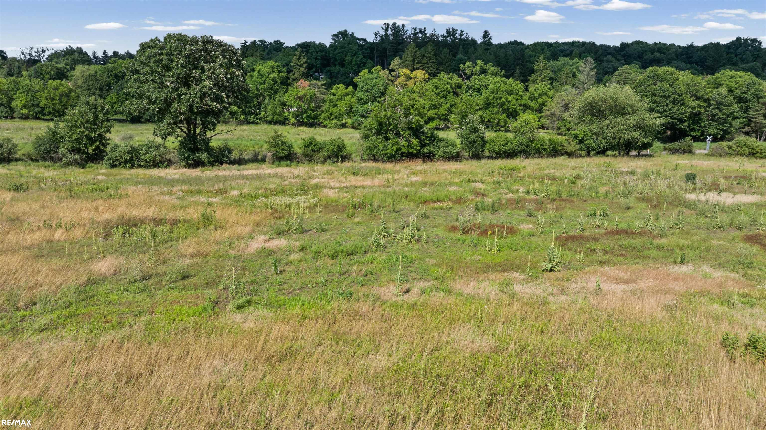 Huron River Drive, Ann Arbor, MI 48103 — Photo 28