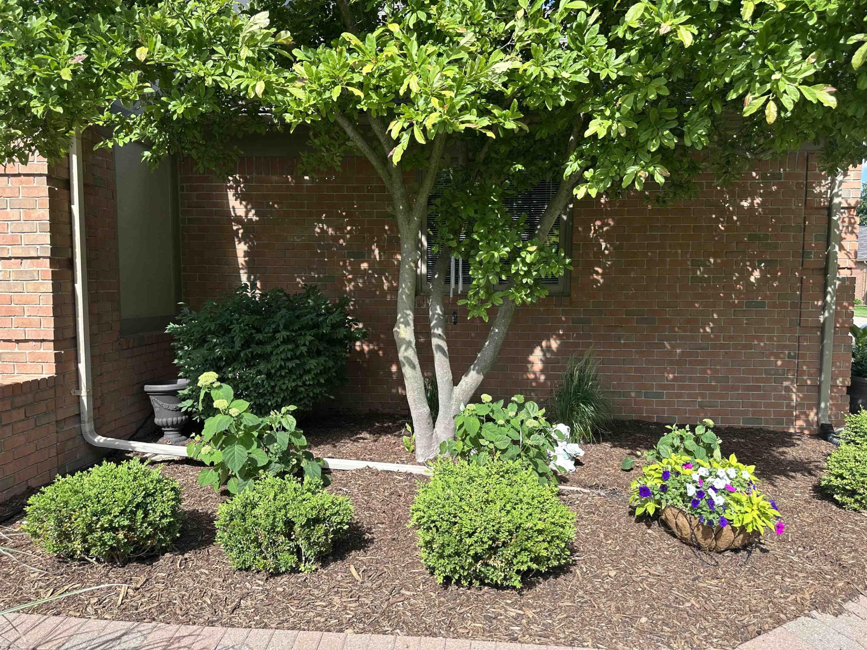 54920 Hennington Court, Shelby Twp, MI 48316 — Photo 4