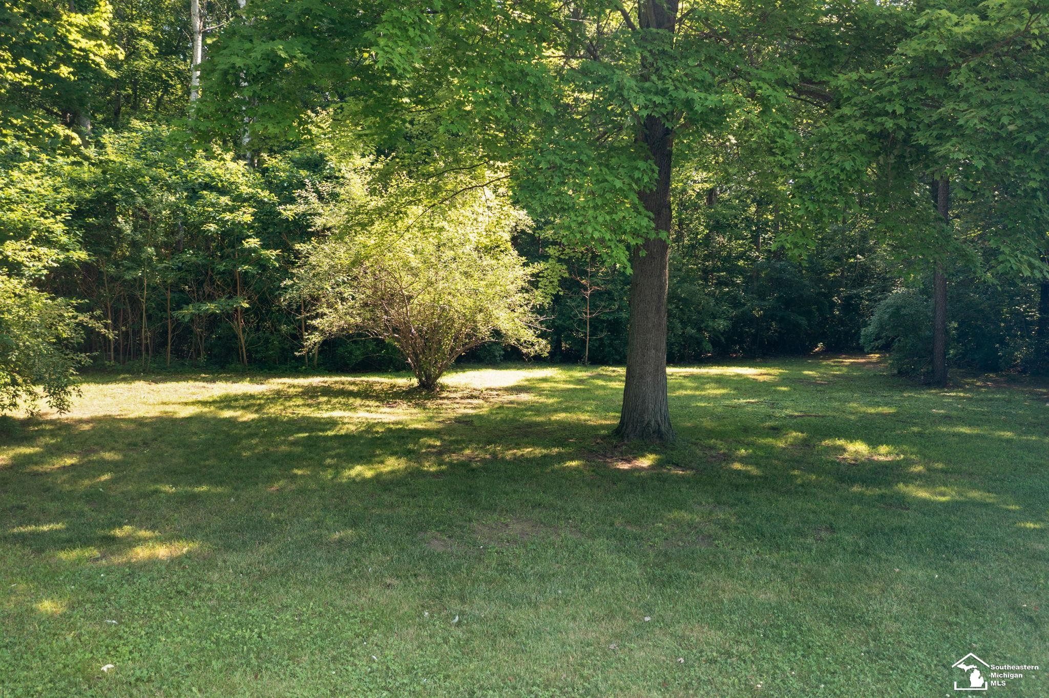 5355 Teal Road, Petersburg, MI 49270 — Photo 11