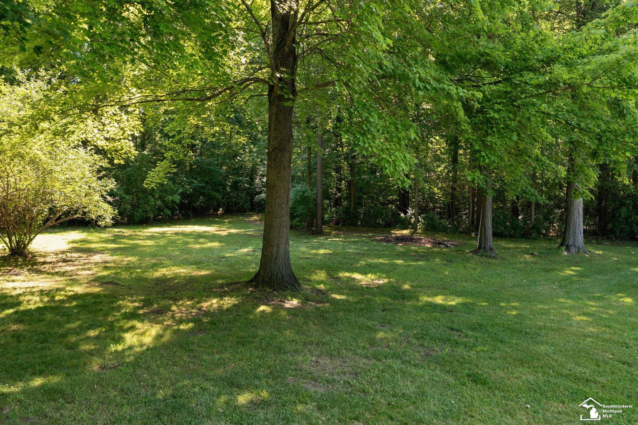 5355 Teal Road, Petersburg, MI 49270 — Photo 13