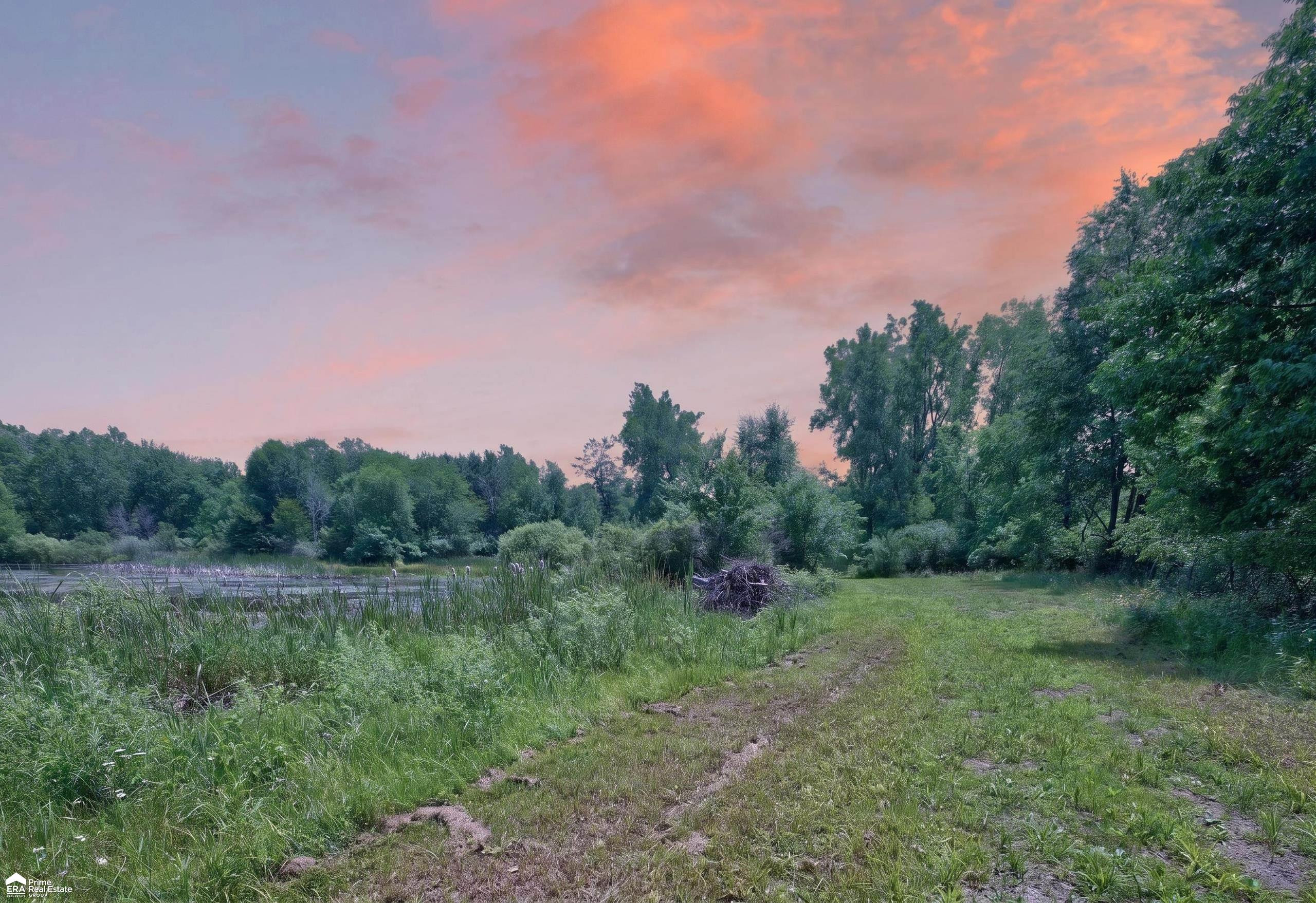5498 Piersonville Road, Columbiaville, MI 48421 — Photo 4