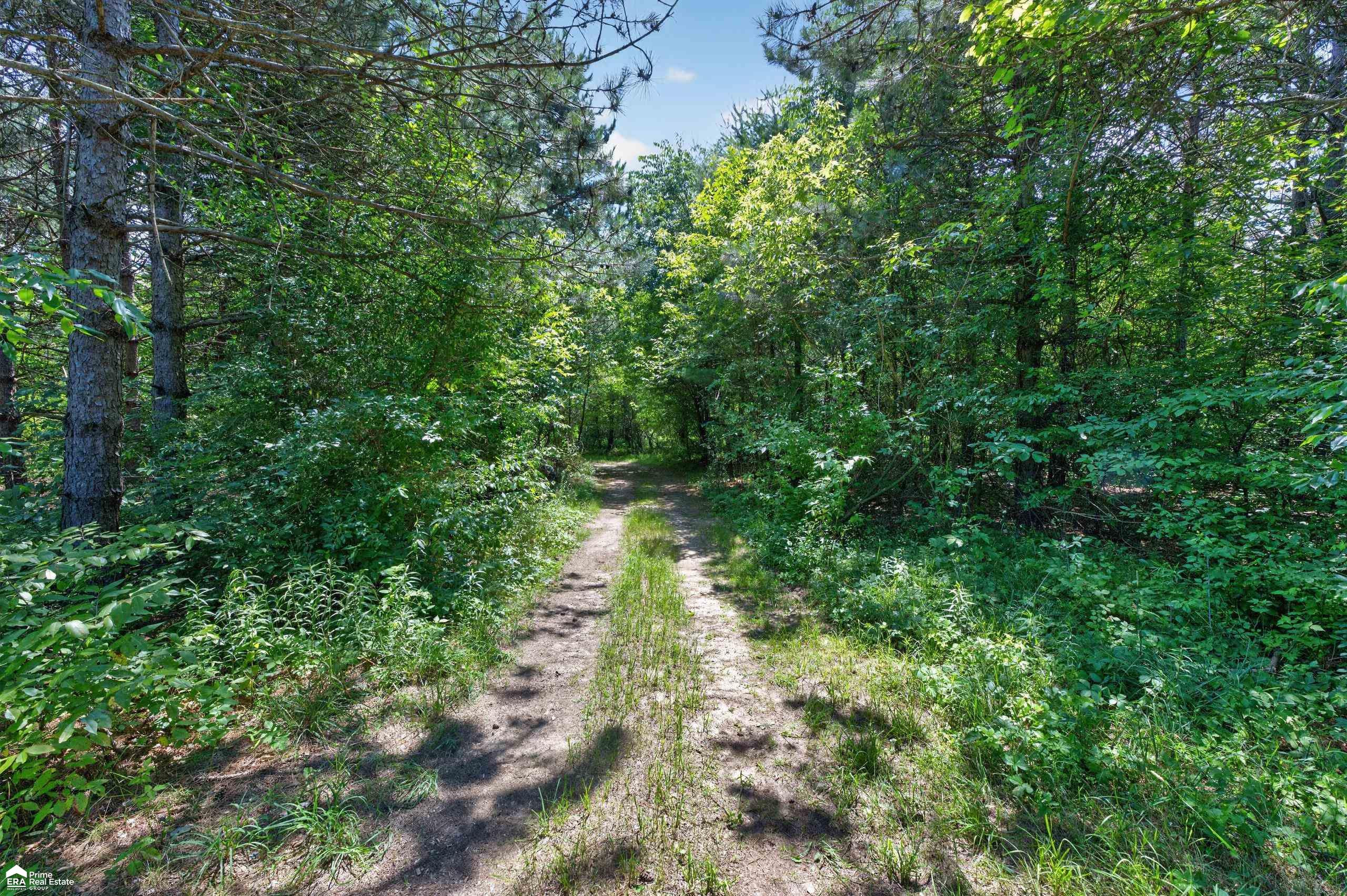 5498 Piersonville Road, Columbiaville, MI 48421 — Photo 10