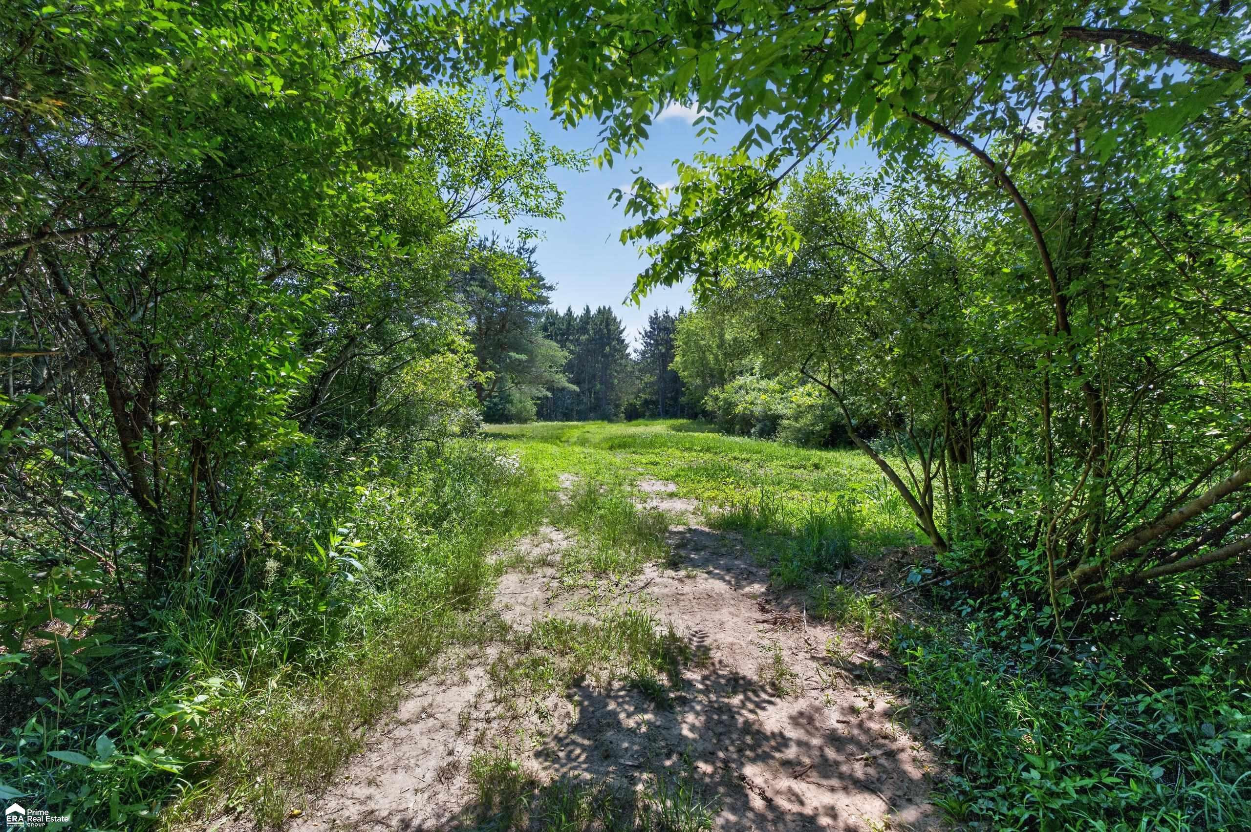 5498 Piersonville Road, Columbiaville, MI 48421 — Photo 11