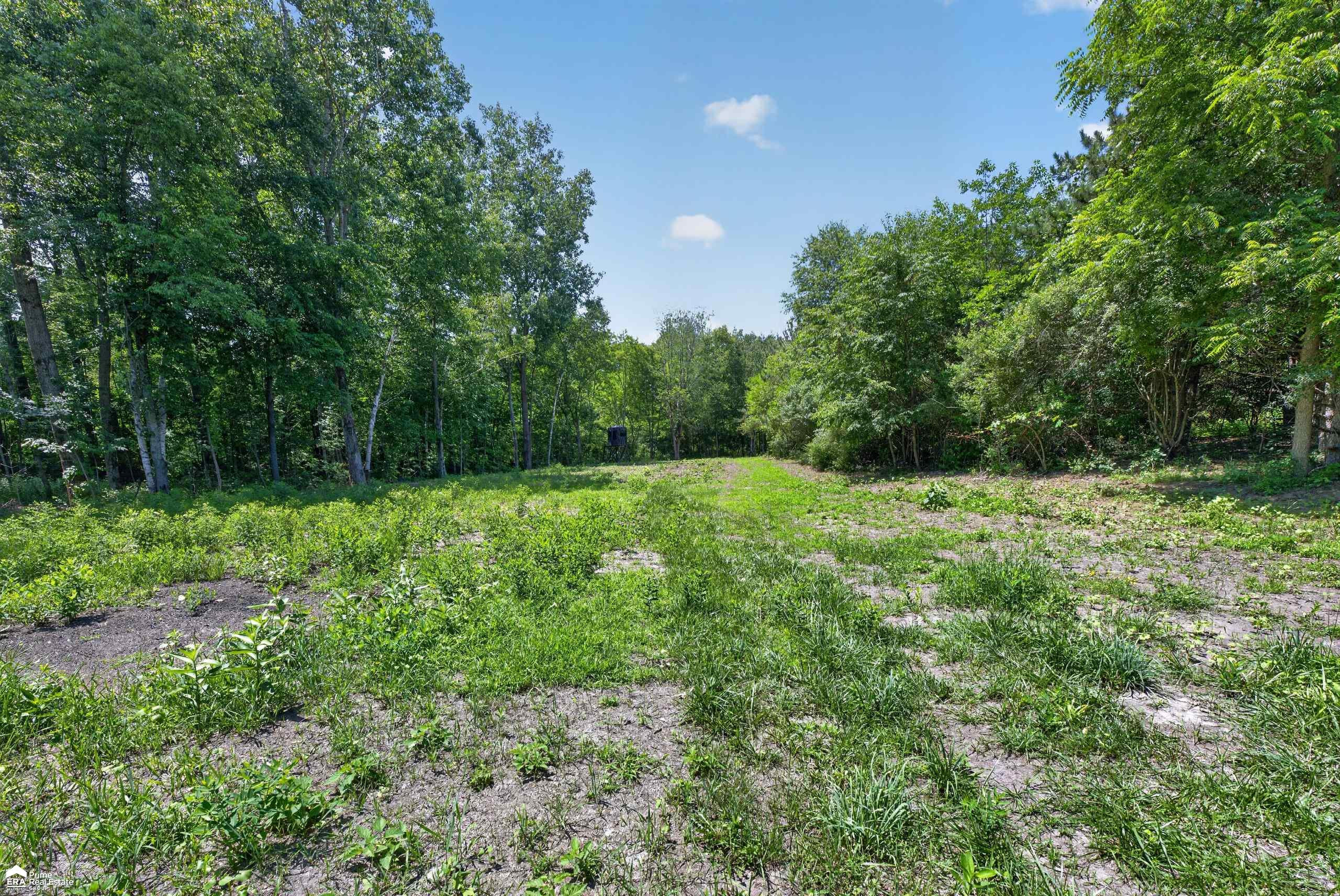 5498 Piersonville Road, Columbiaville, MI 48421 — Photo 15