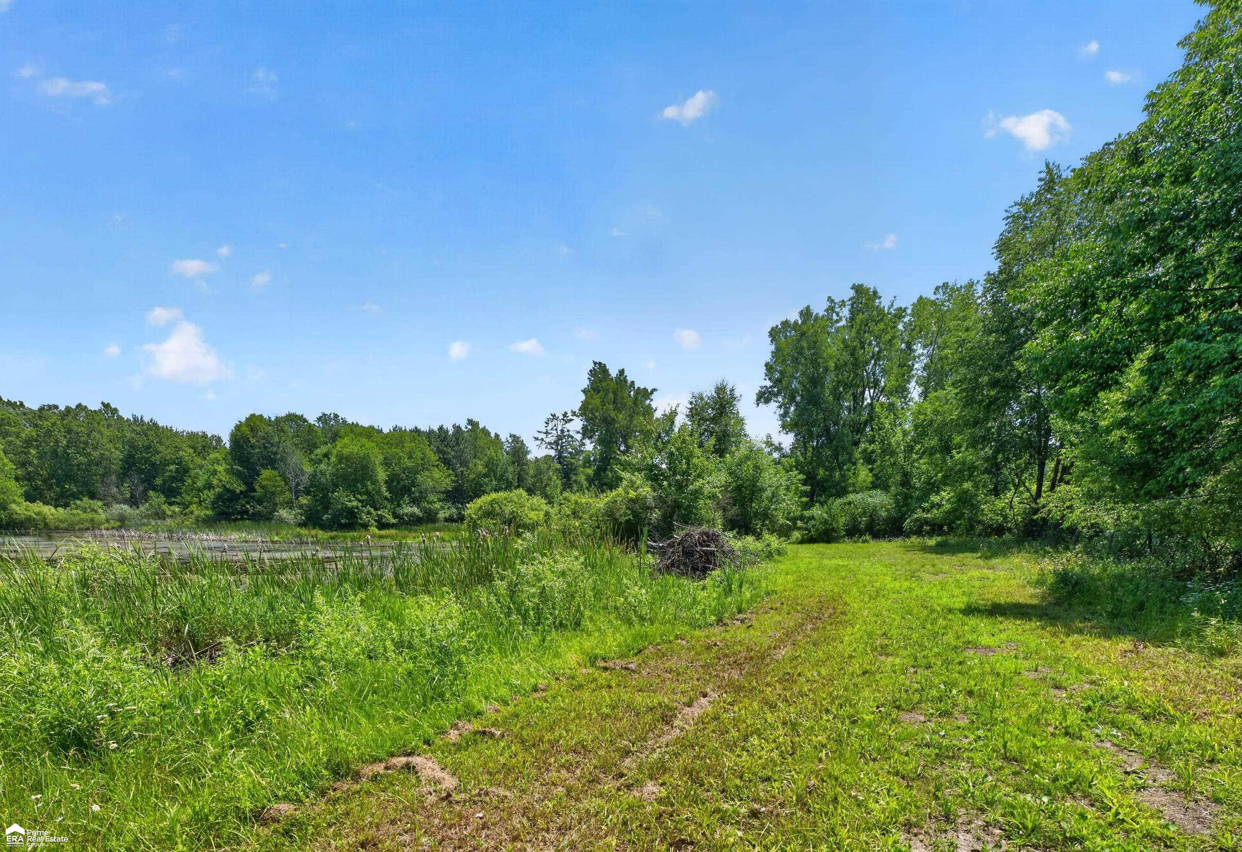 5498 Piersonville Road, Columbiaville, MI 48421 — Photo 21
