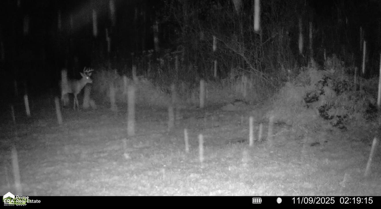 5498 Piersonville Road, Columbiaville, MI 48421 — Photo 32