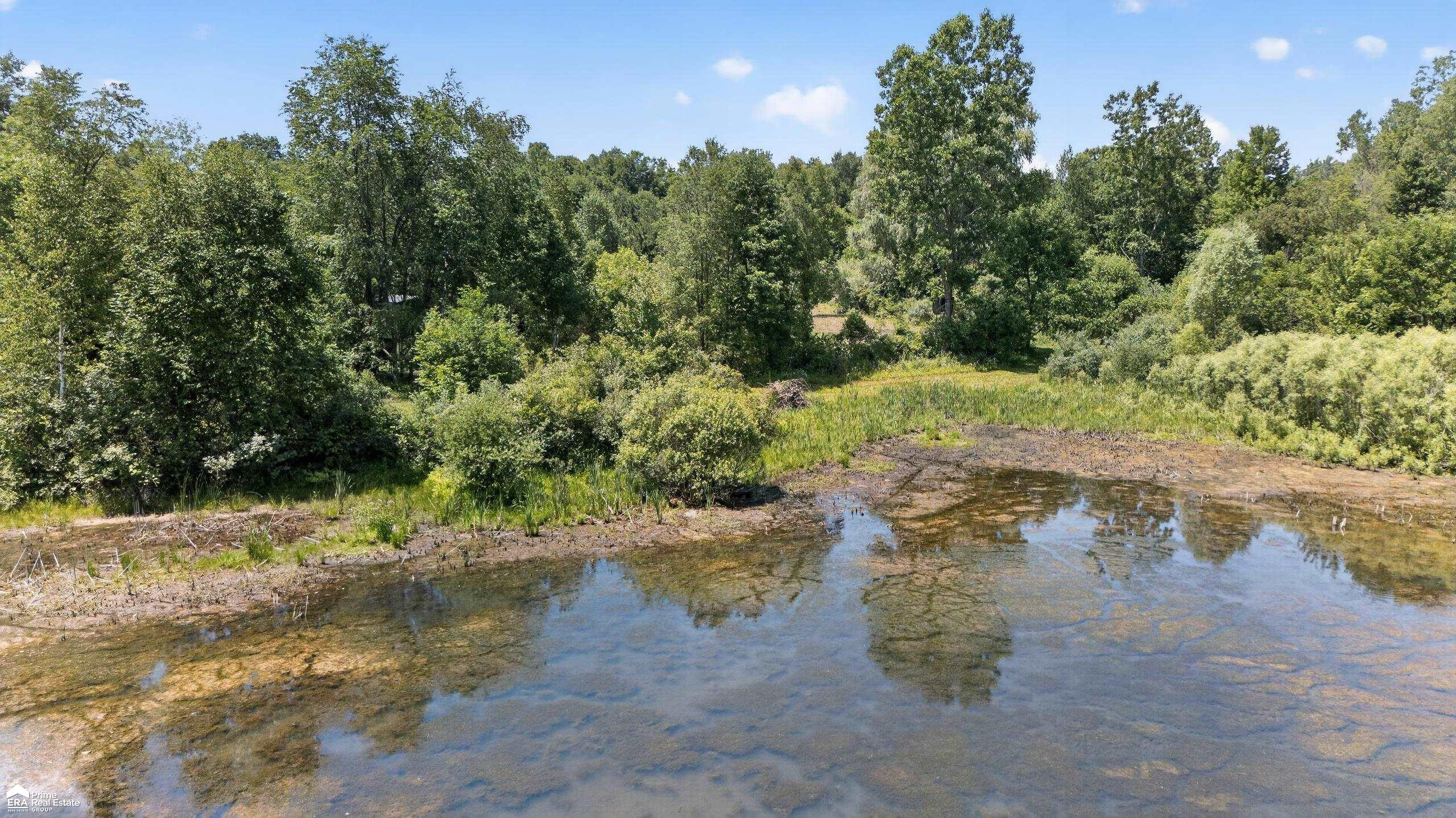 5498 Piersonville Road, Columbiaville, MI 48421 — Photo 40