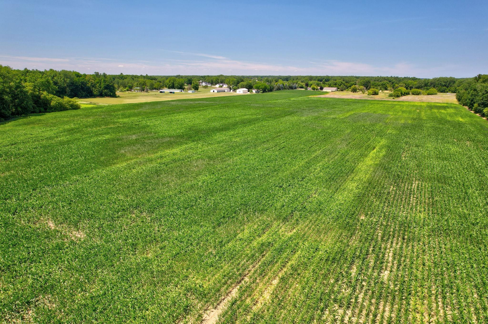 VL Curtis Road, Frankenmuth, MI 48734 — Photo 10