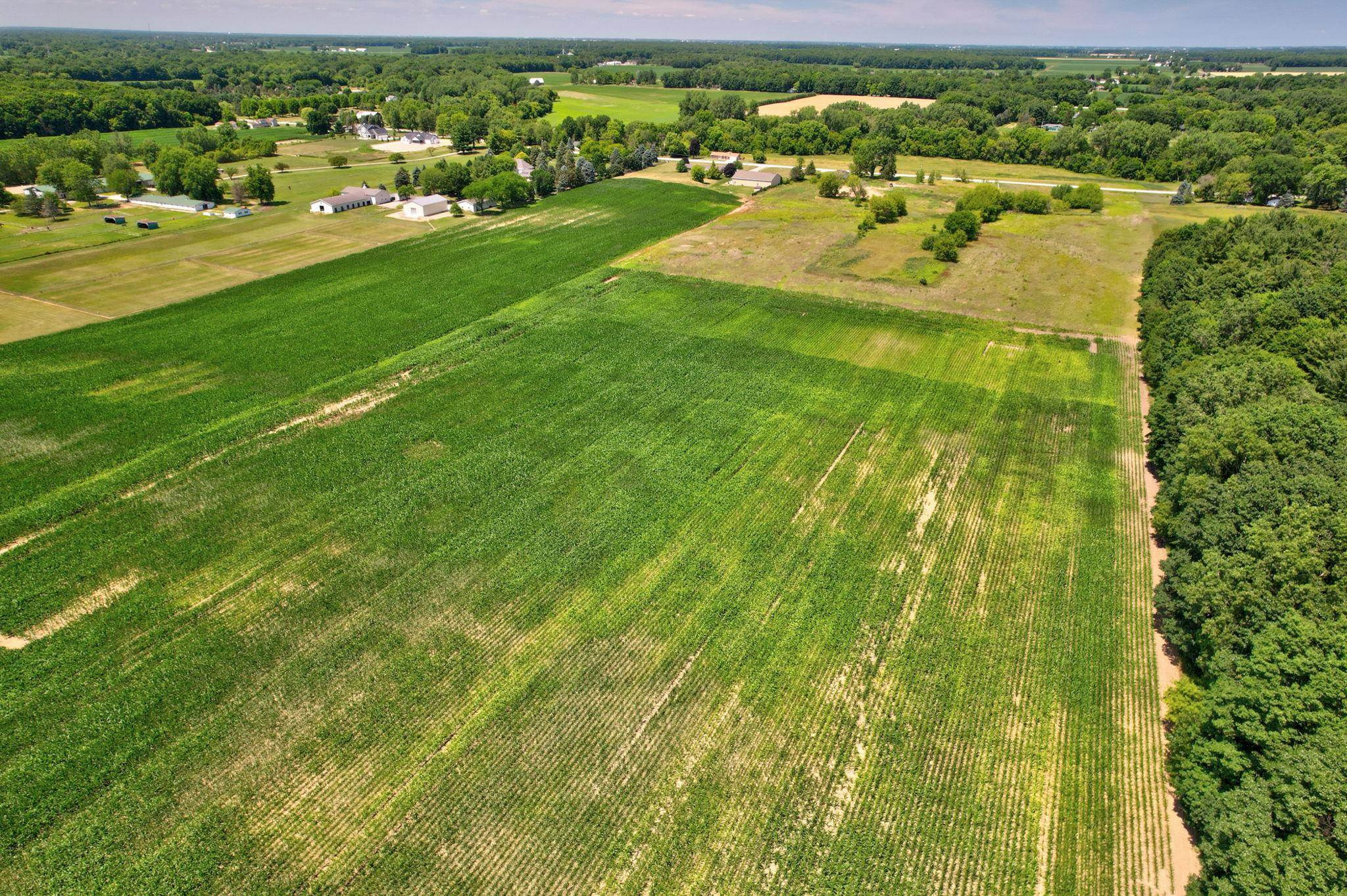 VL Curtis Road, Frankenmuth, MI 48734 — Photo 11