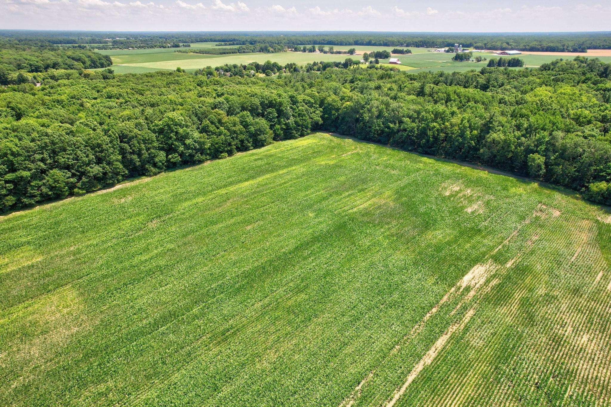 VL Curtis Road, Frankenmuth, MI 48734 — Photo 18
