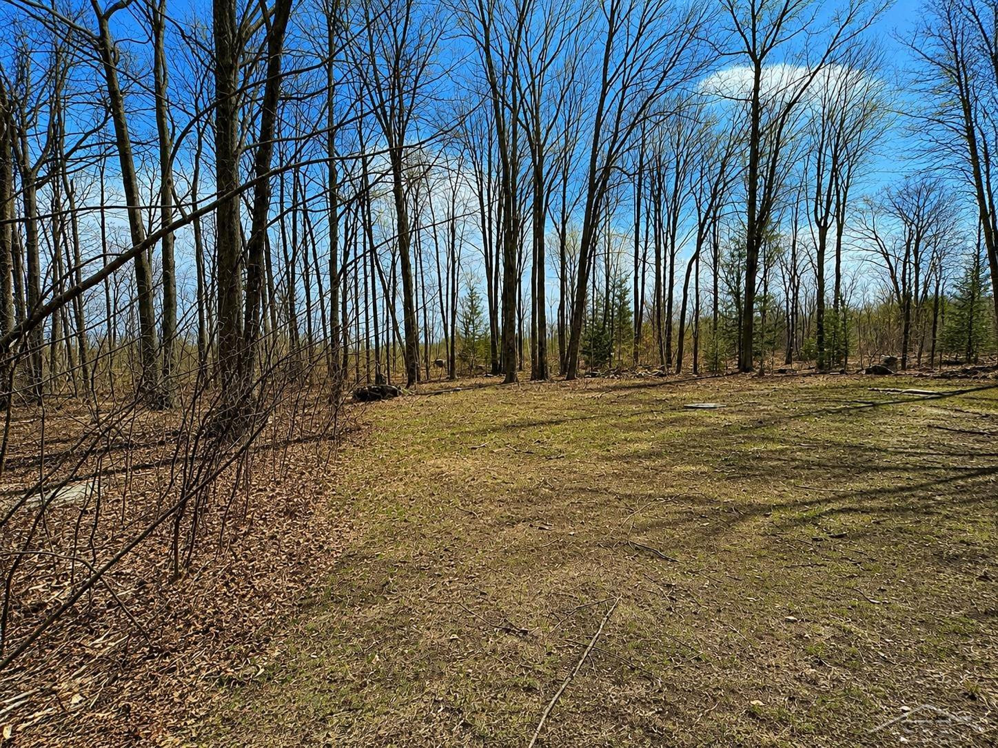 219 S Nine Mile Road, Midland, MI 48640 — Photo 64