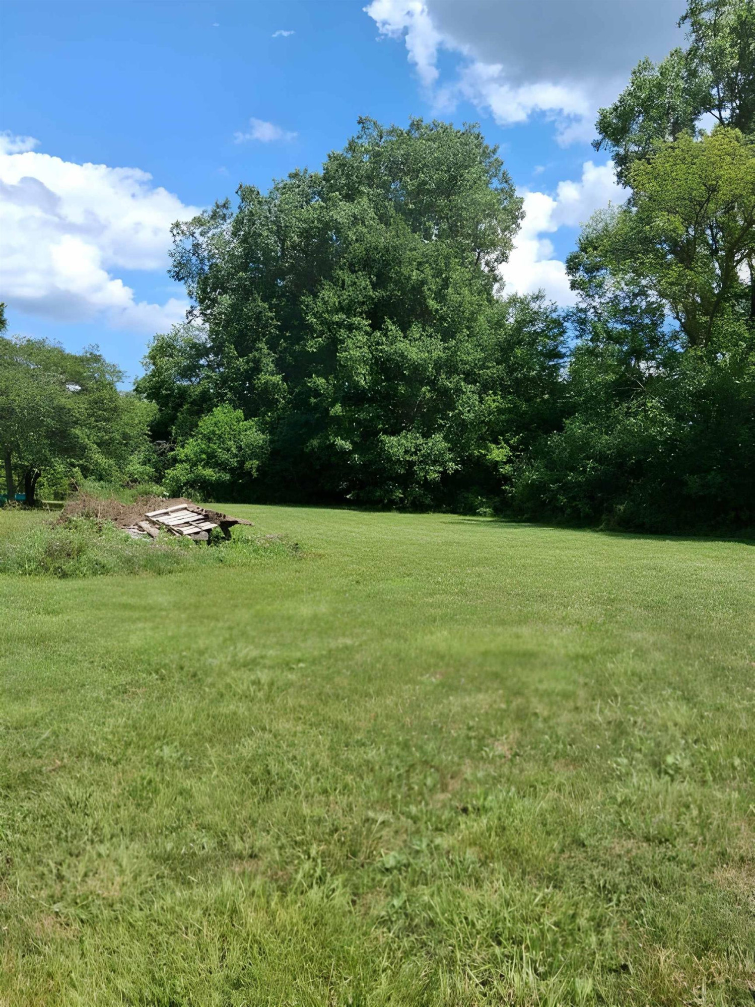 12160 Neff Road, Clio, MI 48420 — Photo 46