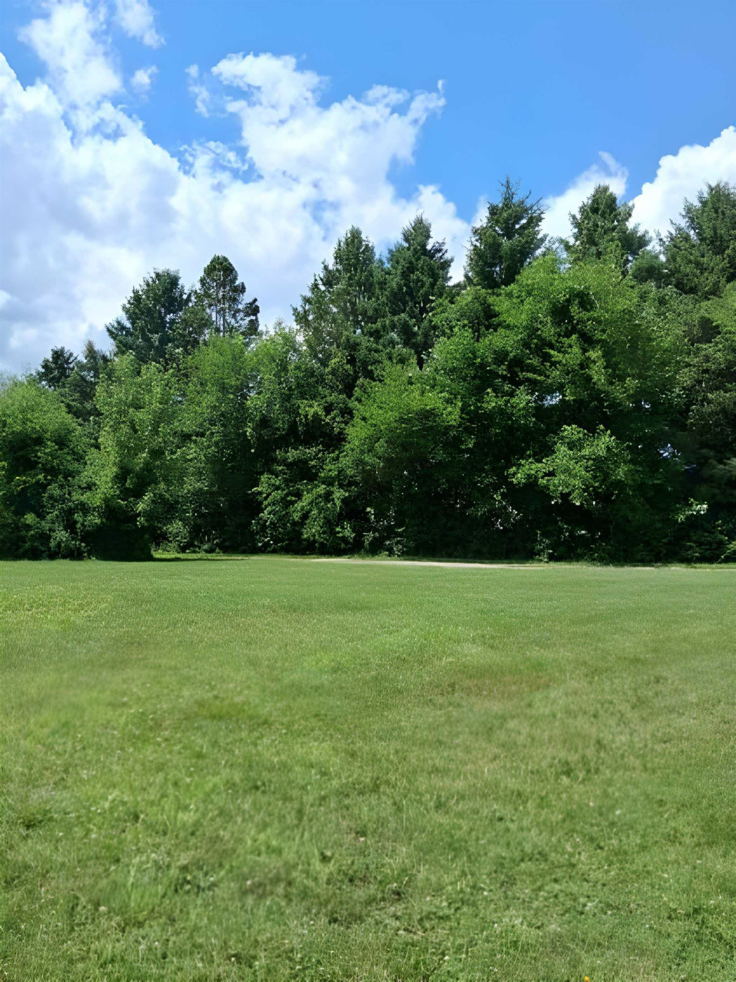 12160 Neff Road, Clio, MI 48420 — Photo 48