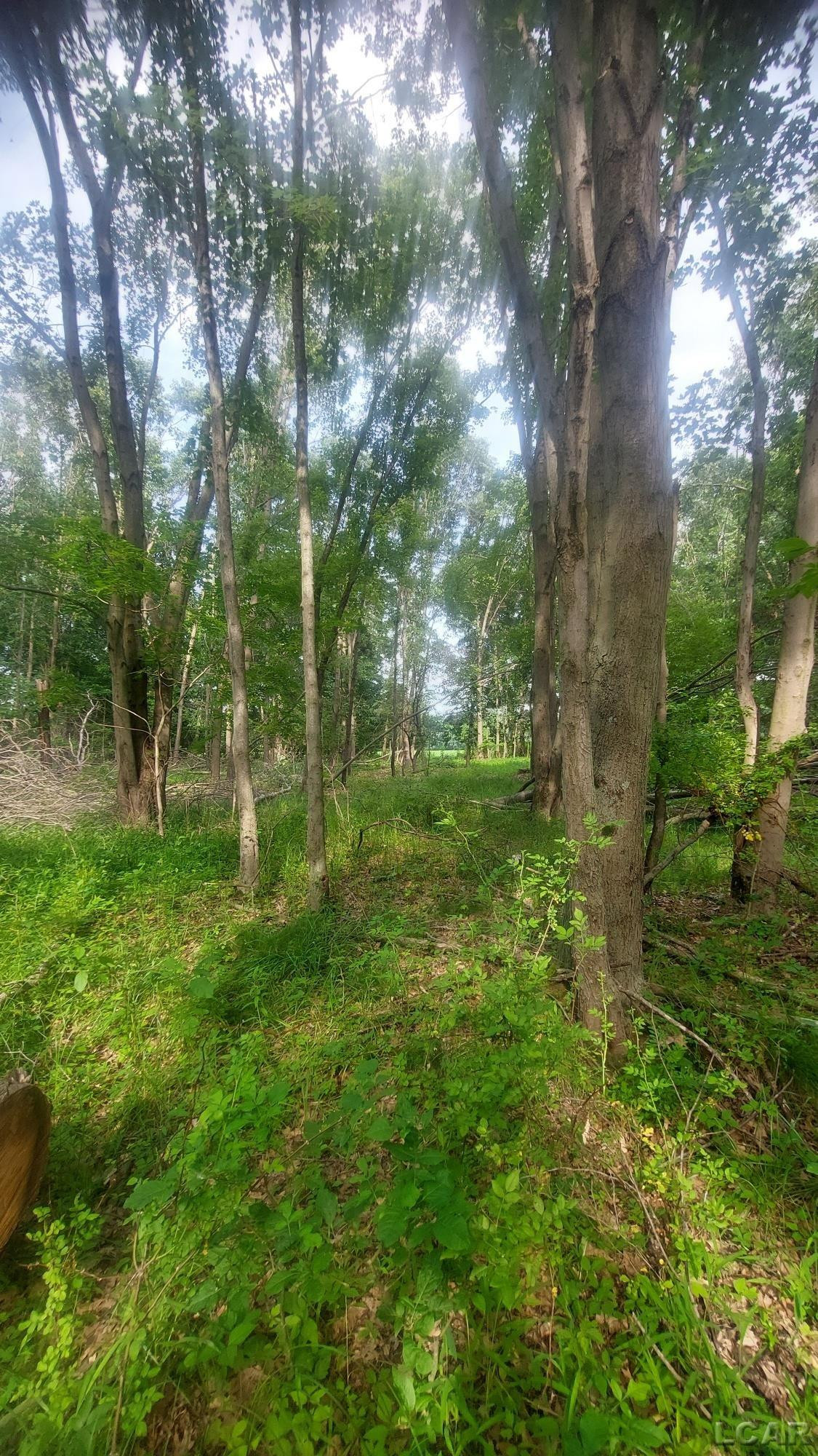 W Mosherville Road, Litchfield, MI 49252 — Photo 11