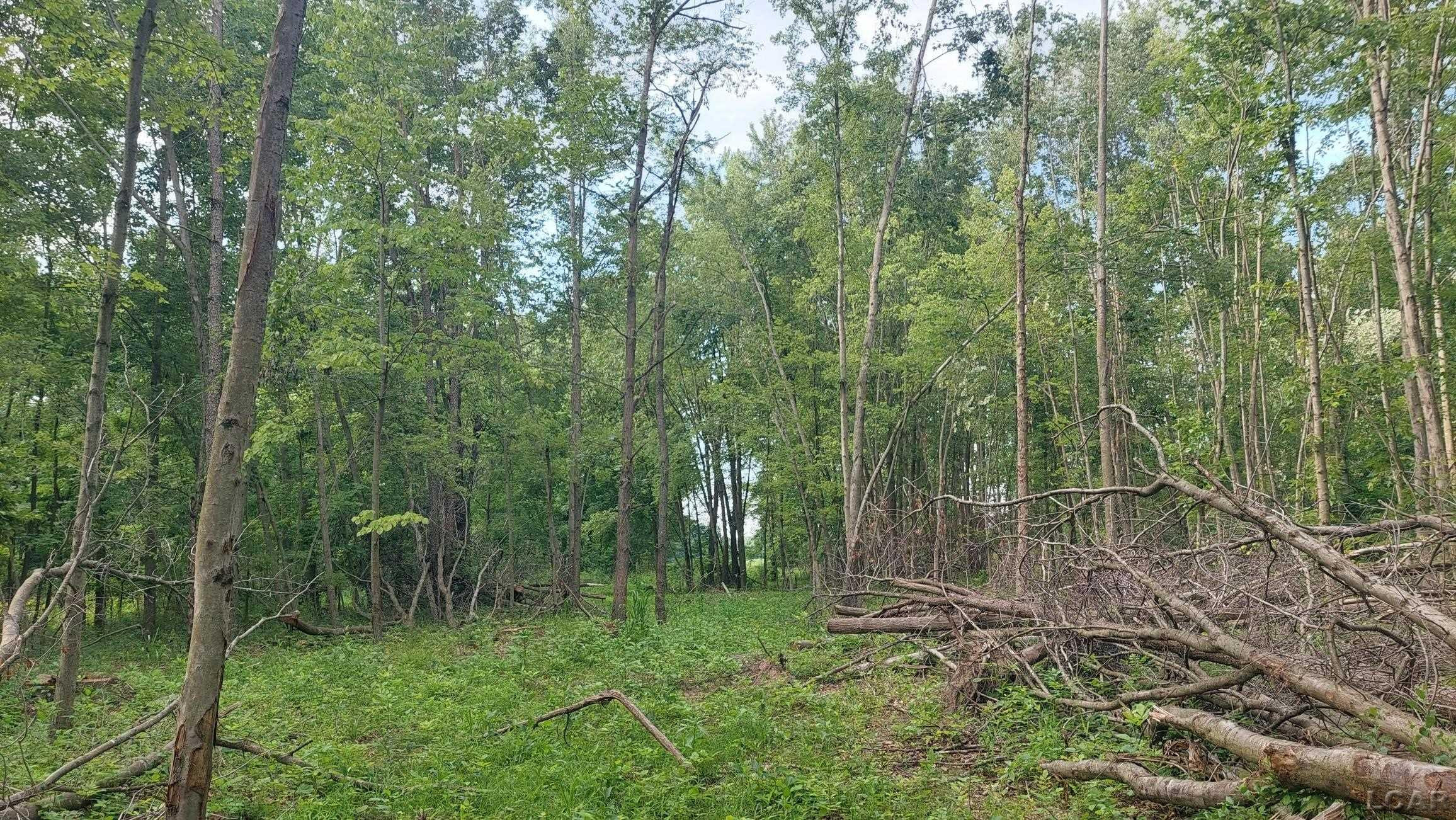 W Mosherville Road, Litchfield, MI 49252 — Photo 12