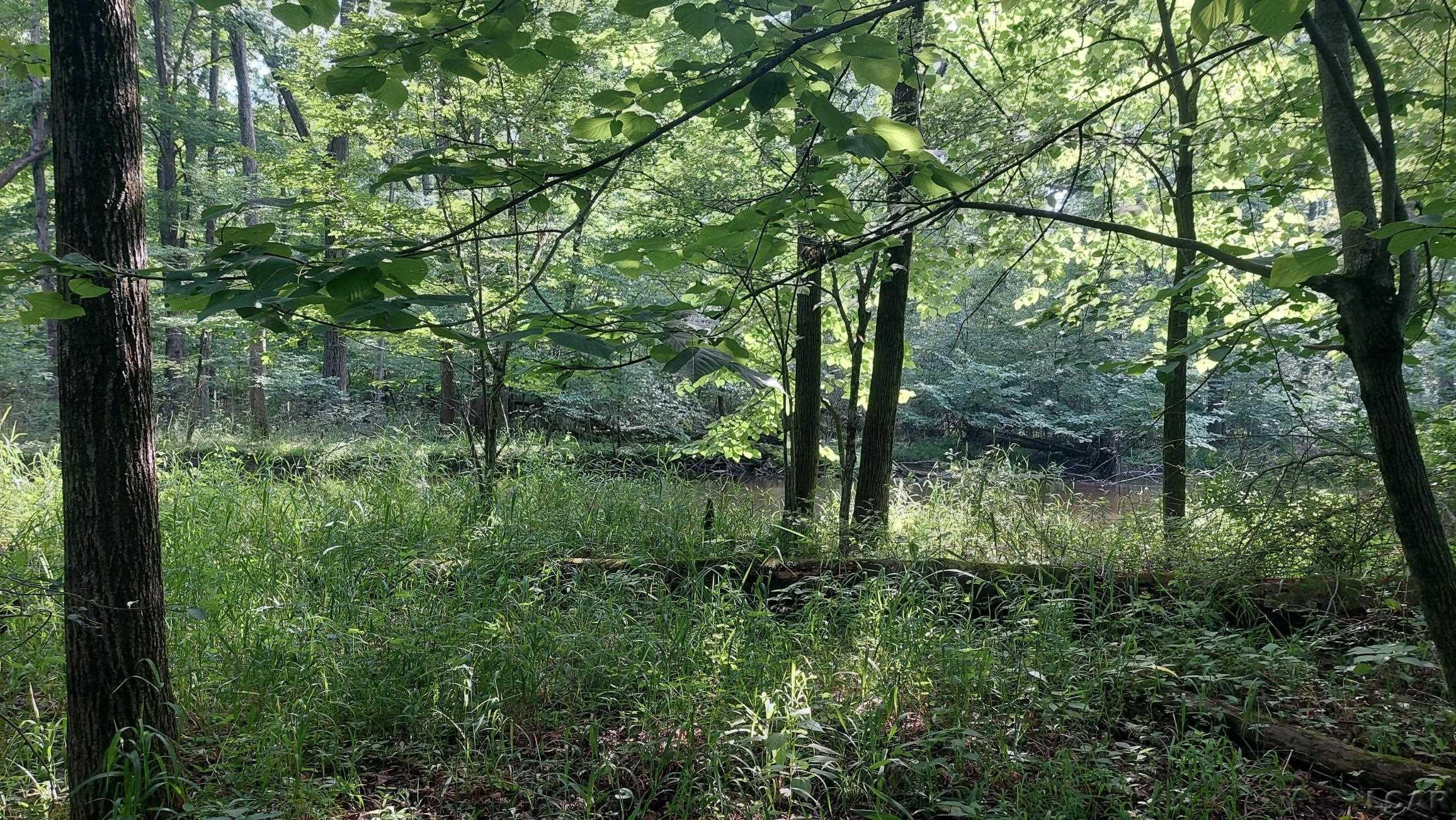 W Mosherville Road, Litchfield, MI 49252 — Photo 13