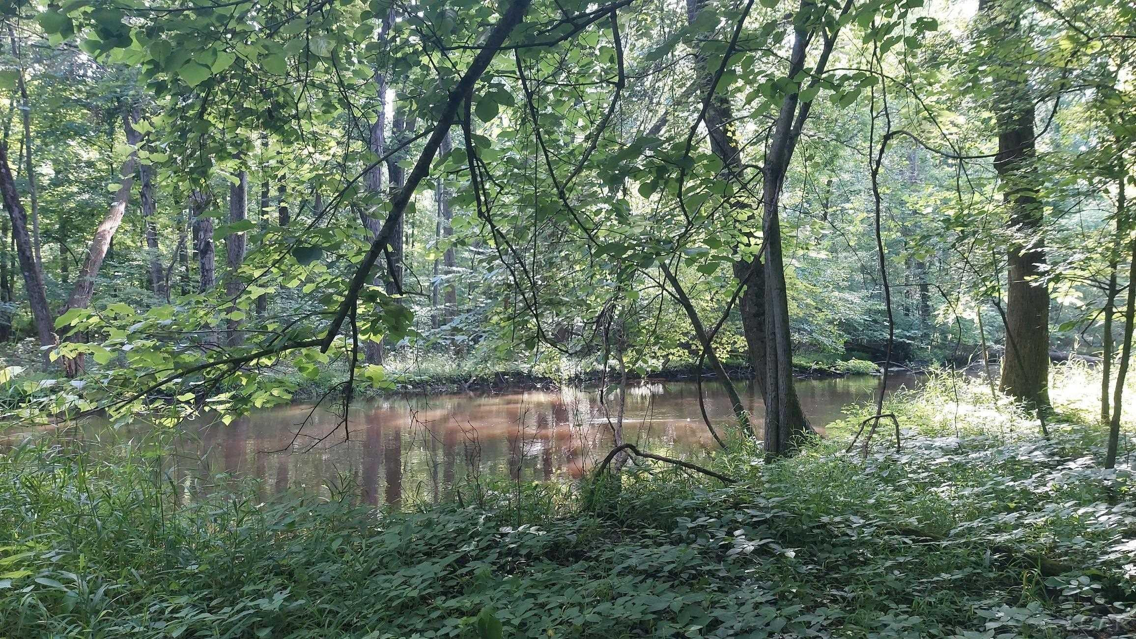 W Mosherville Road, Litchfield, MI 49252 — Photo 16
