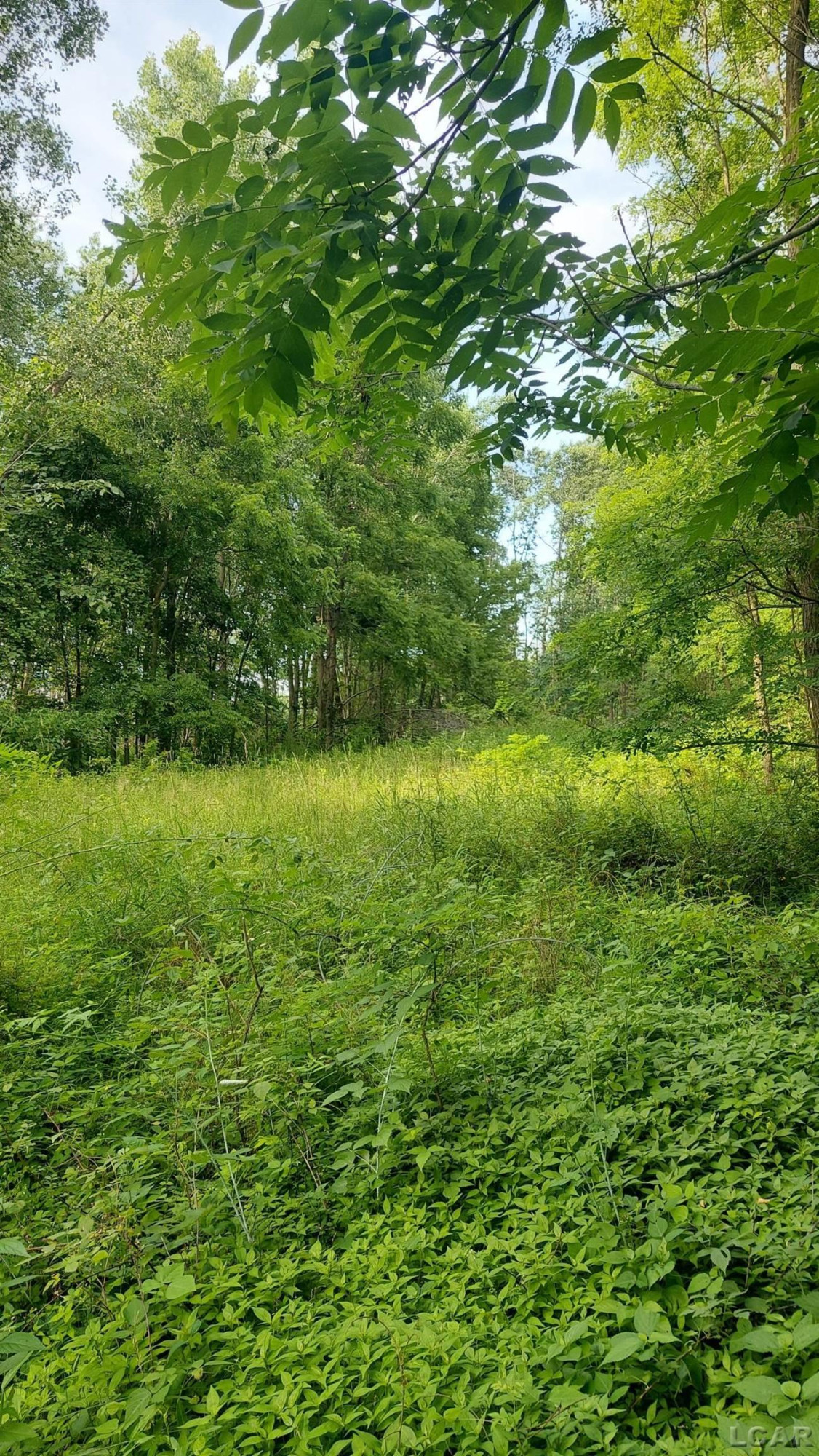 W Mosherville Road, Litchfield, MI 49252 — Photo 18