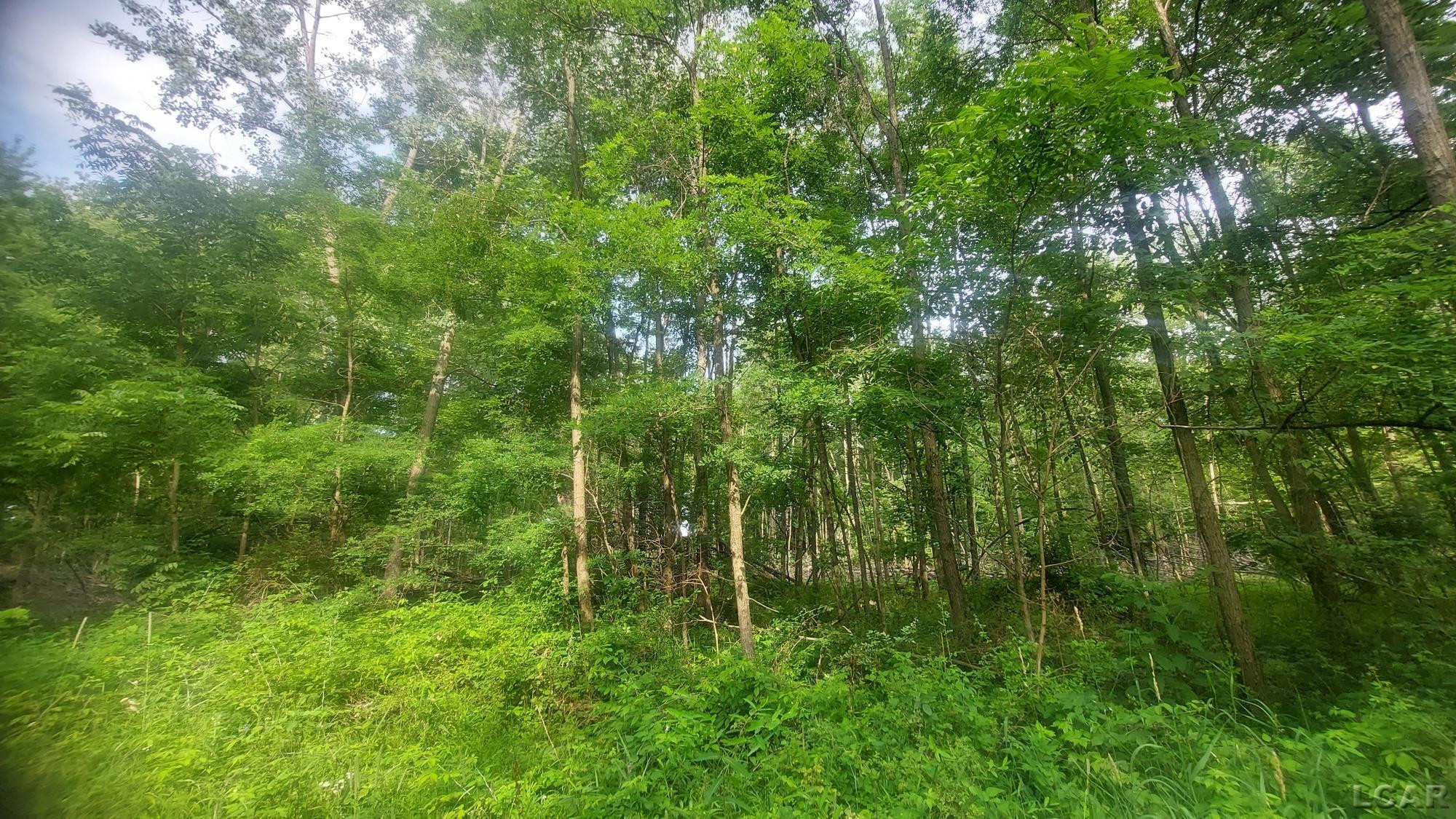 W Mosherville Road, Litchfield, MI 49252 — Photo 20