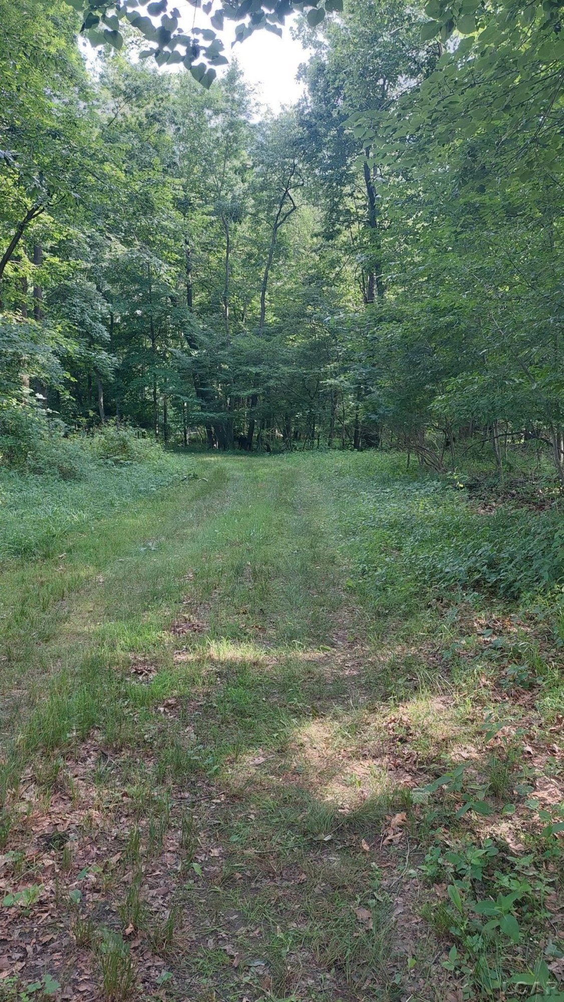 W Mosherville Road, Litchfield, MI 49252 — Photo 25