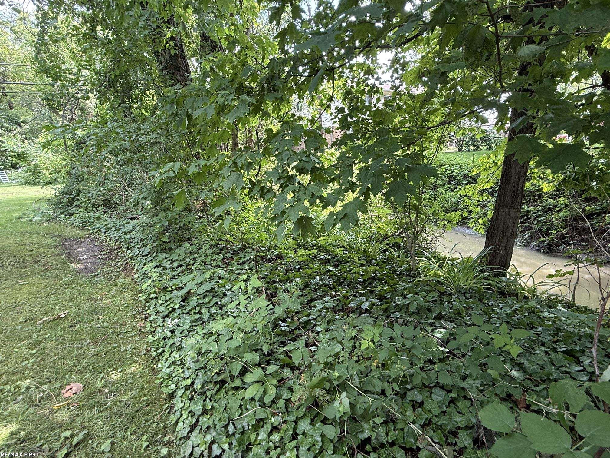 51500 Ashley Street, New Baltimore, MI 48047 — Photo 32