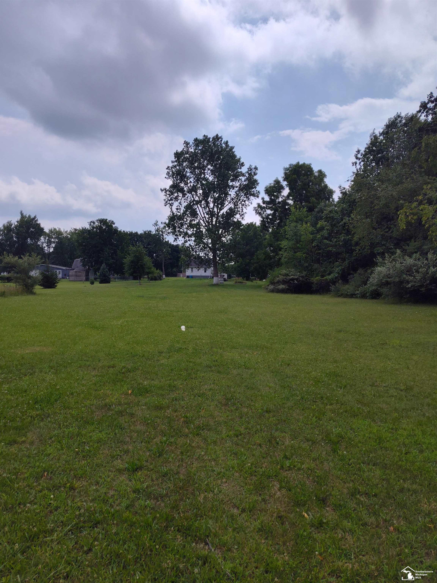 174 Canfield Street, Milan, MI 48160 — Photo 12