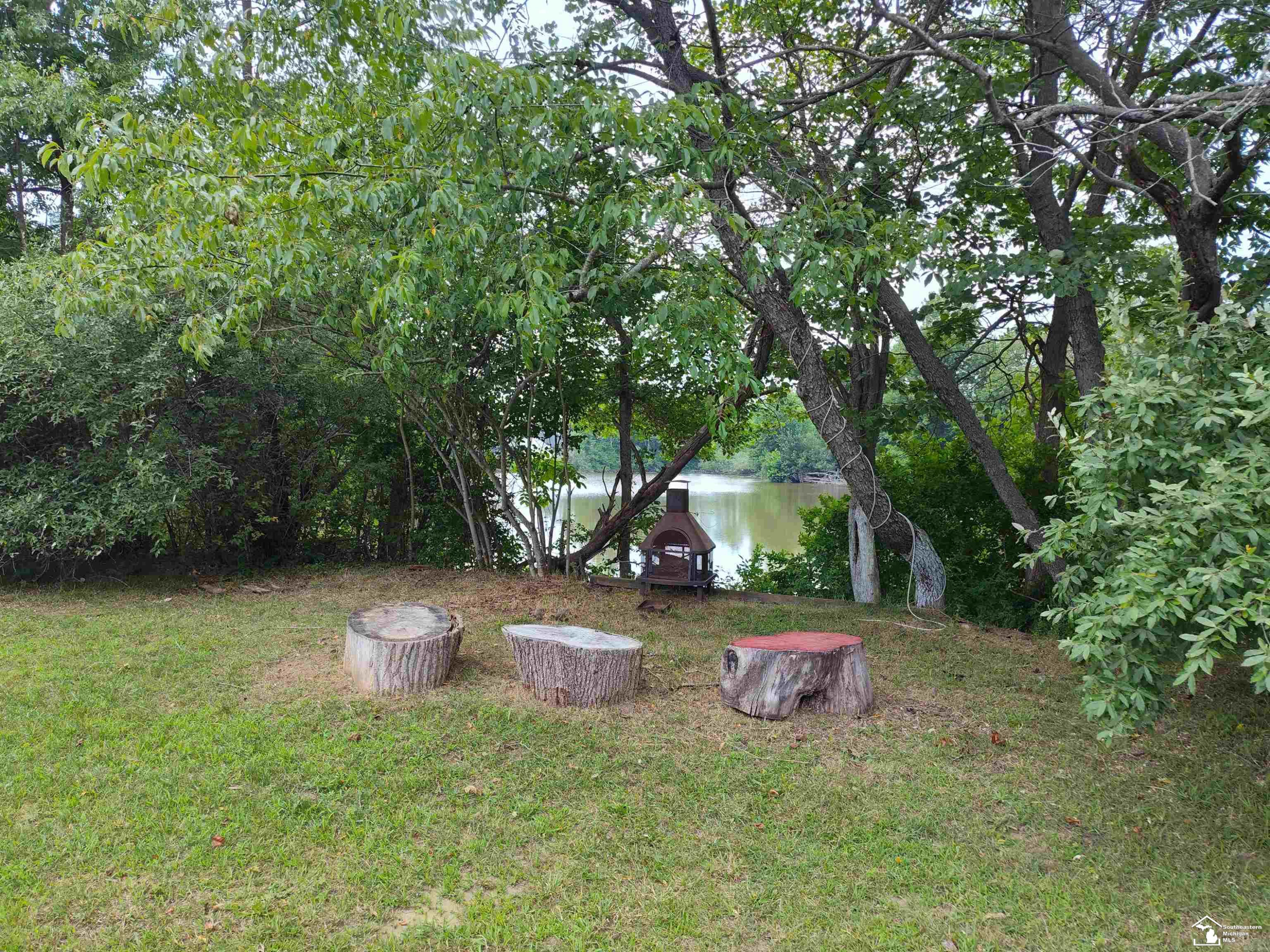 174 Canfield Street, Milan, MI 48160 — Photo 13