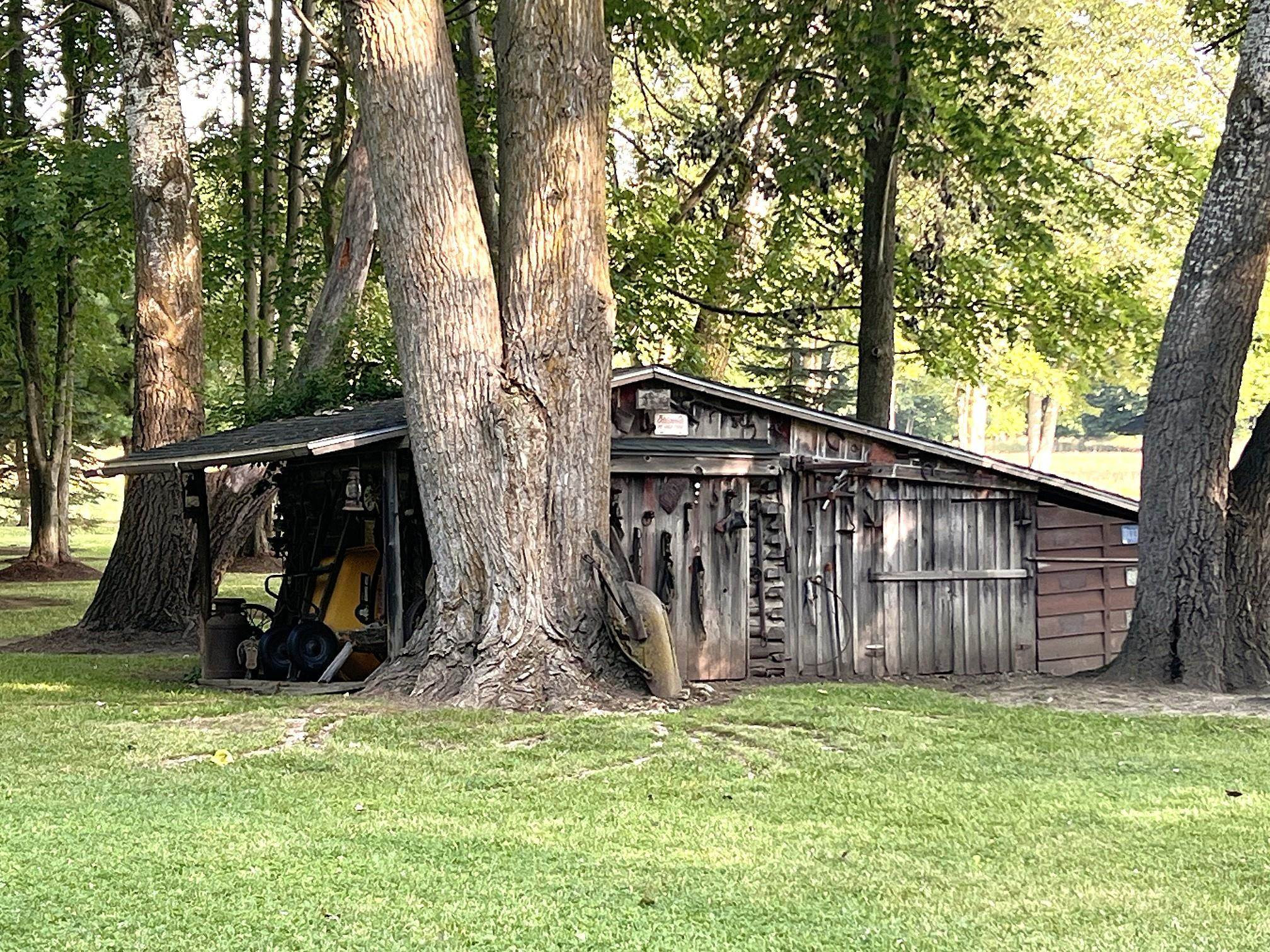 904 W Lovejoy Road, Perry, MI 48872 — Photo 16