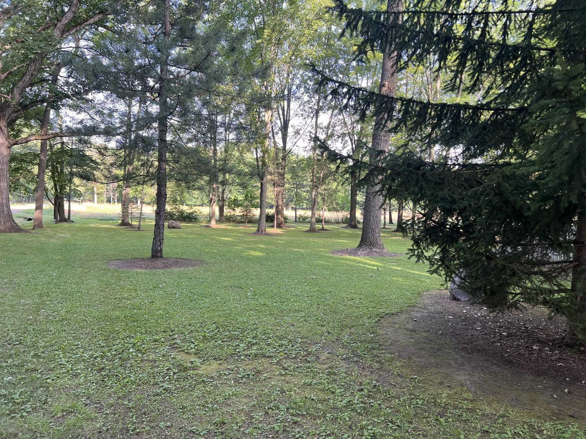 904 W Lovejoy Road, Perry, MI 48872 — Photo 18