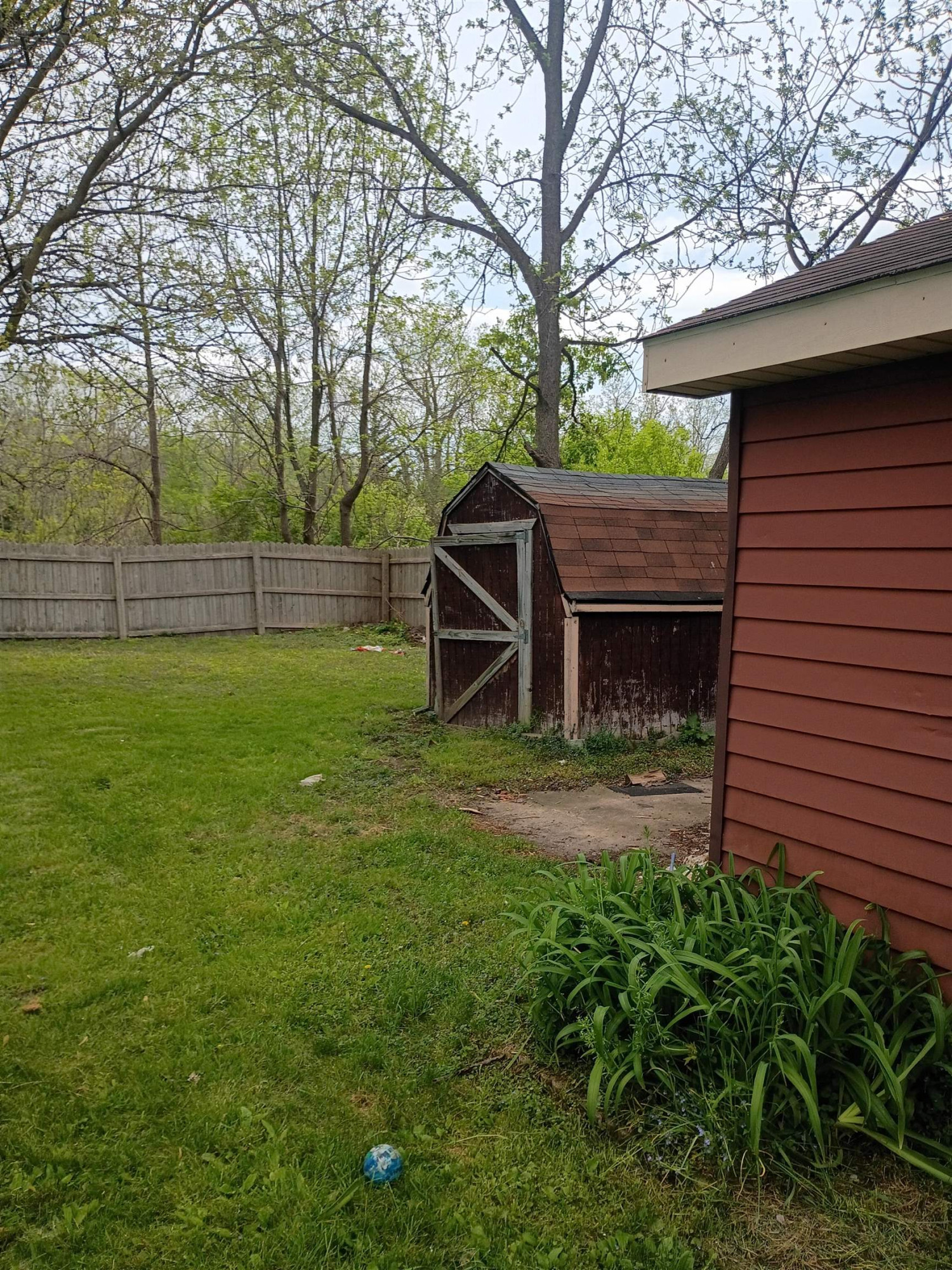 Photo 5